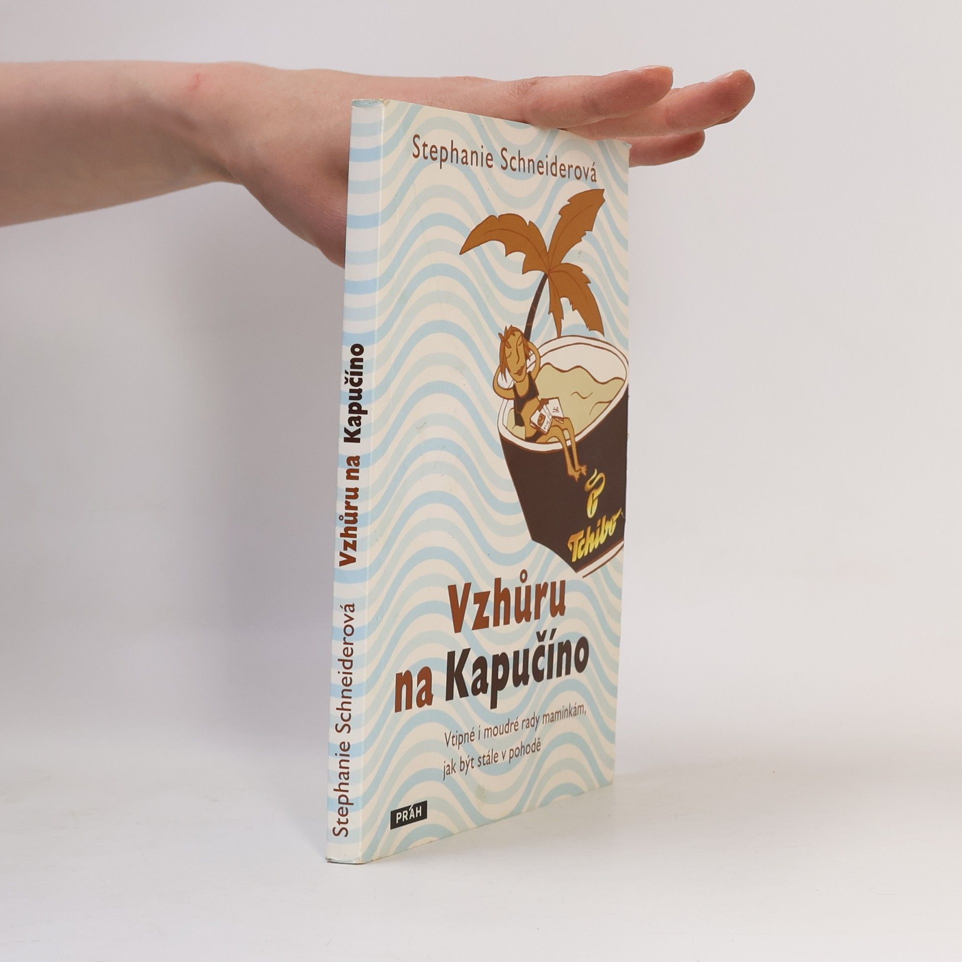 Stephanie Schneider Vzhůru na Kapučíno: Vtipné i moudré rady maminkám, jak být stále v pohodě