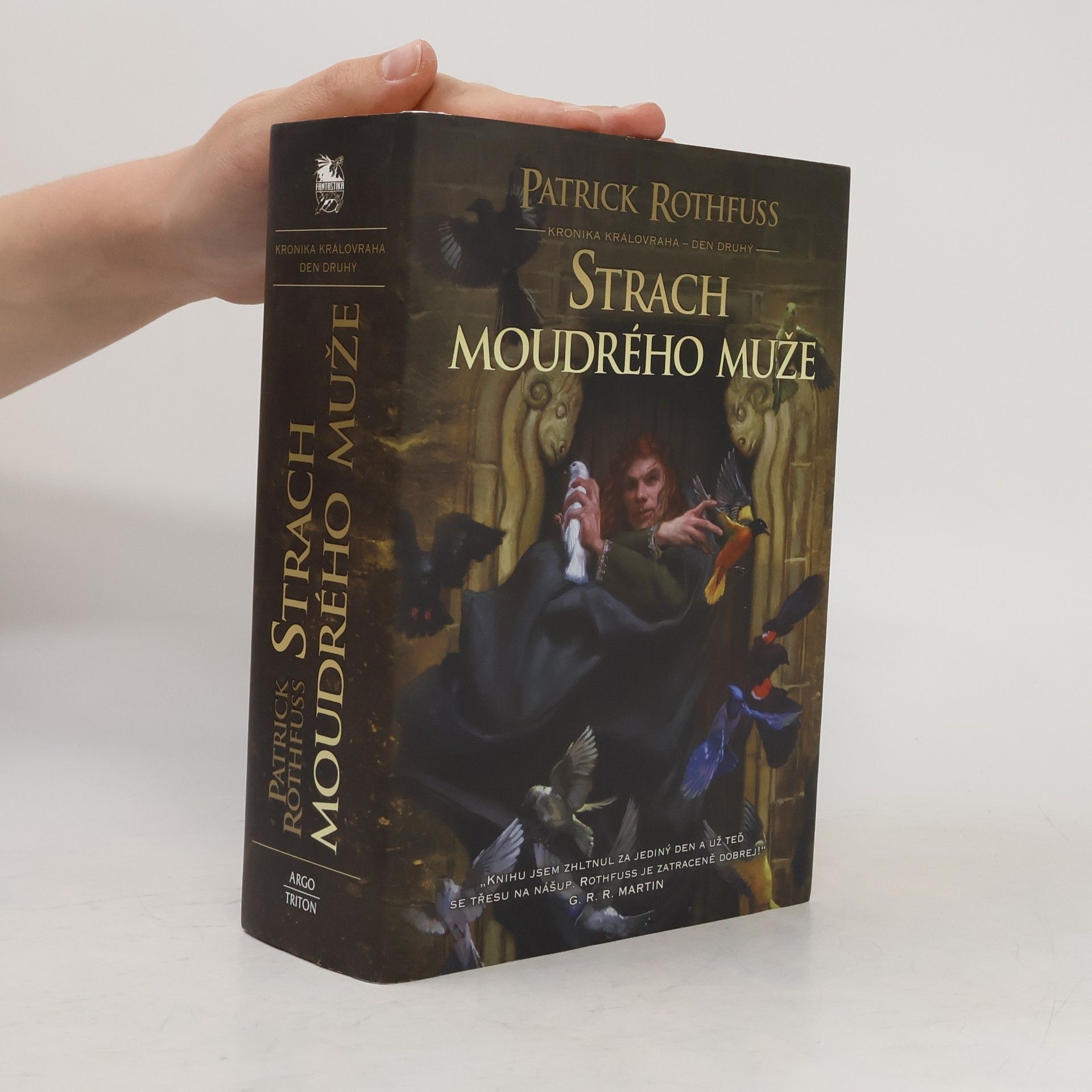 Patrick Rothfuss Strach moudrého muže