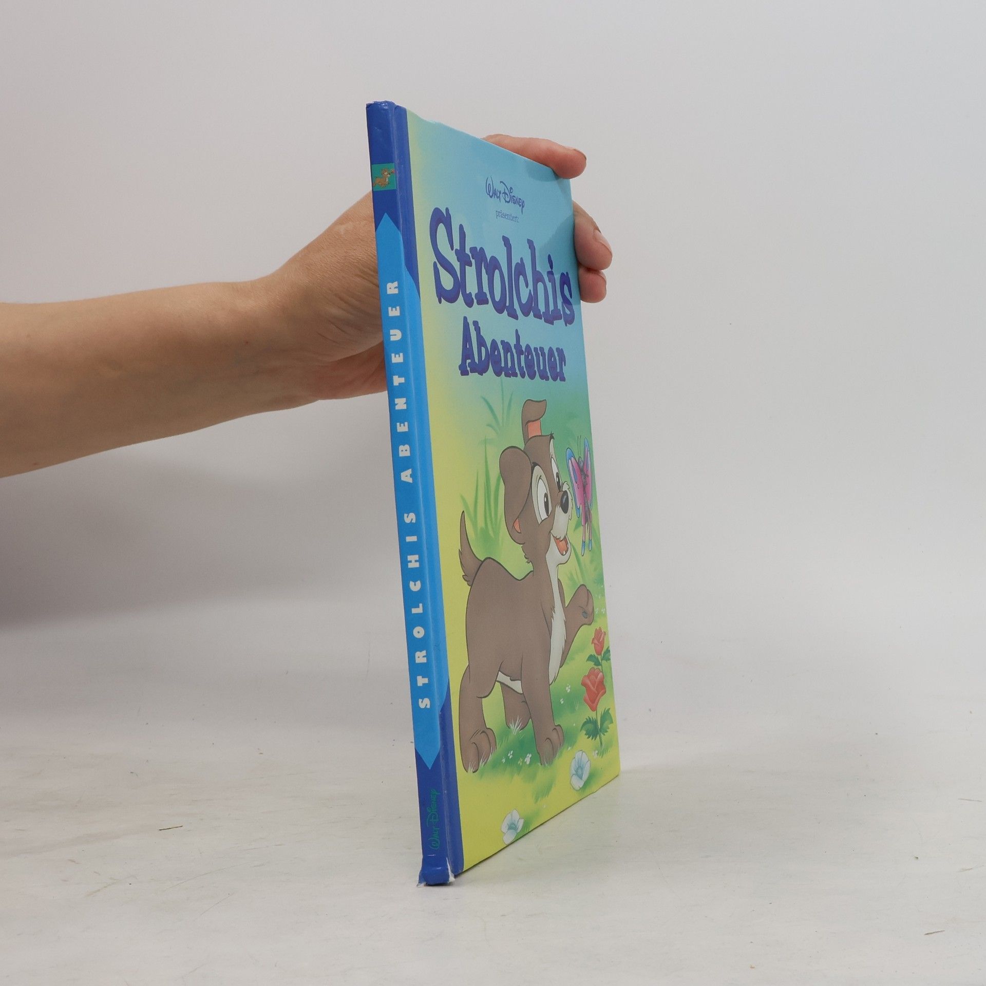 Autorenkollektiv Strolchis Abenteuer