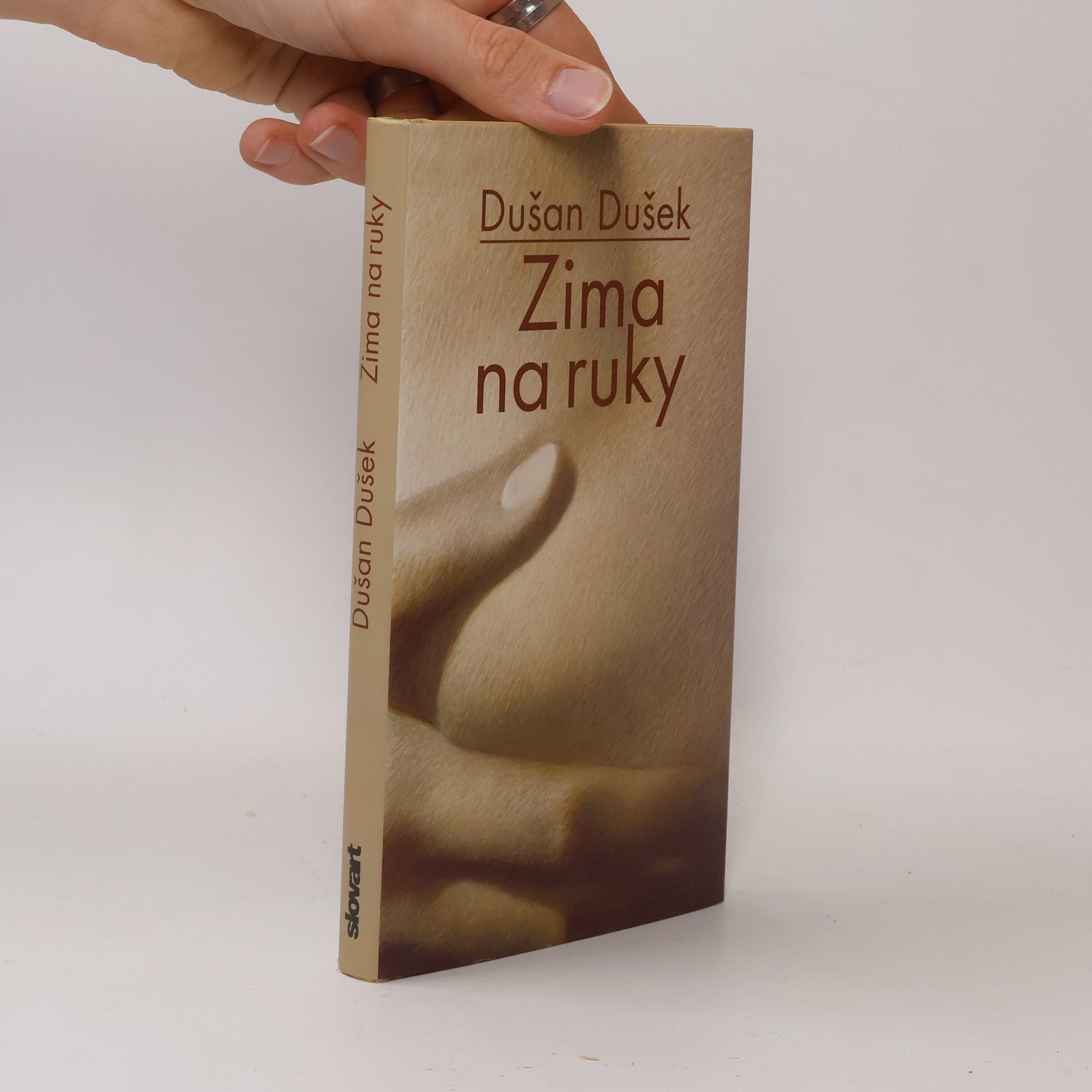 Dušan Dušek Zima na ruky