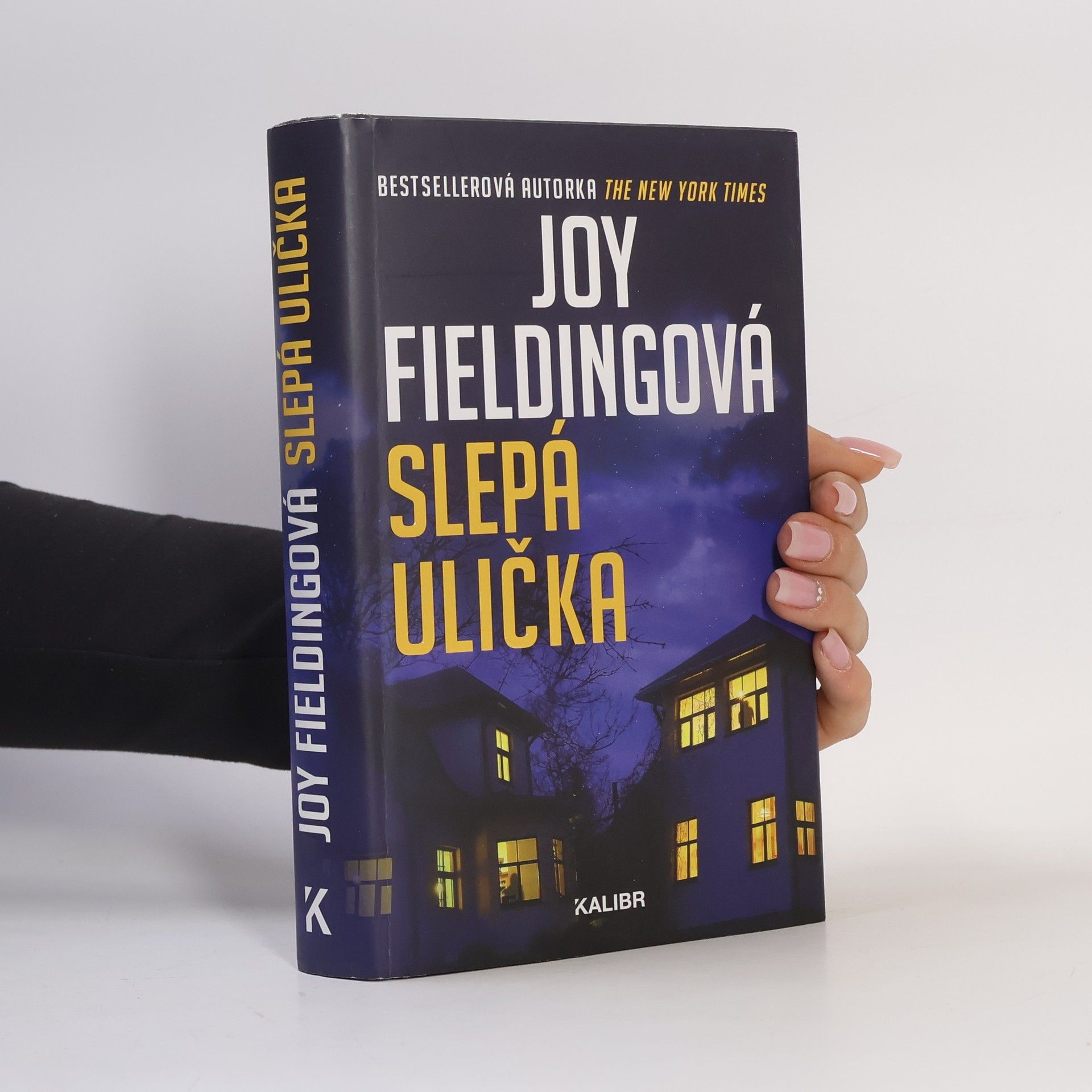 Joy Fielding Slepá ulička