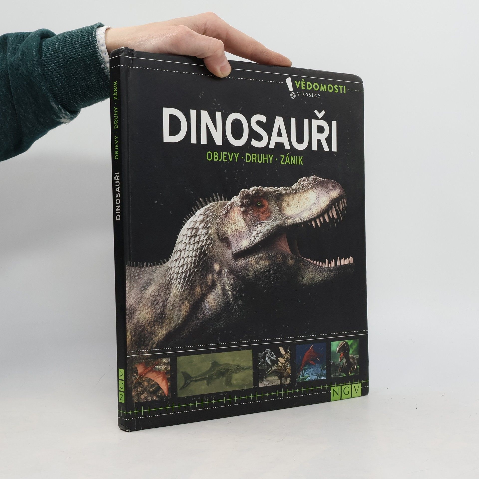 Autorenkollektiv Dinosauři