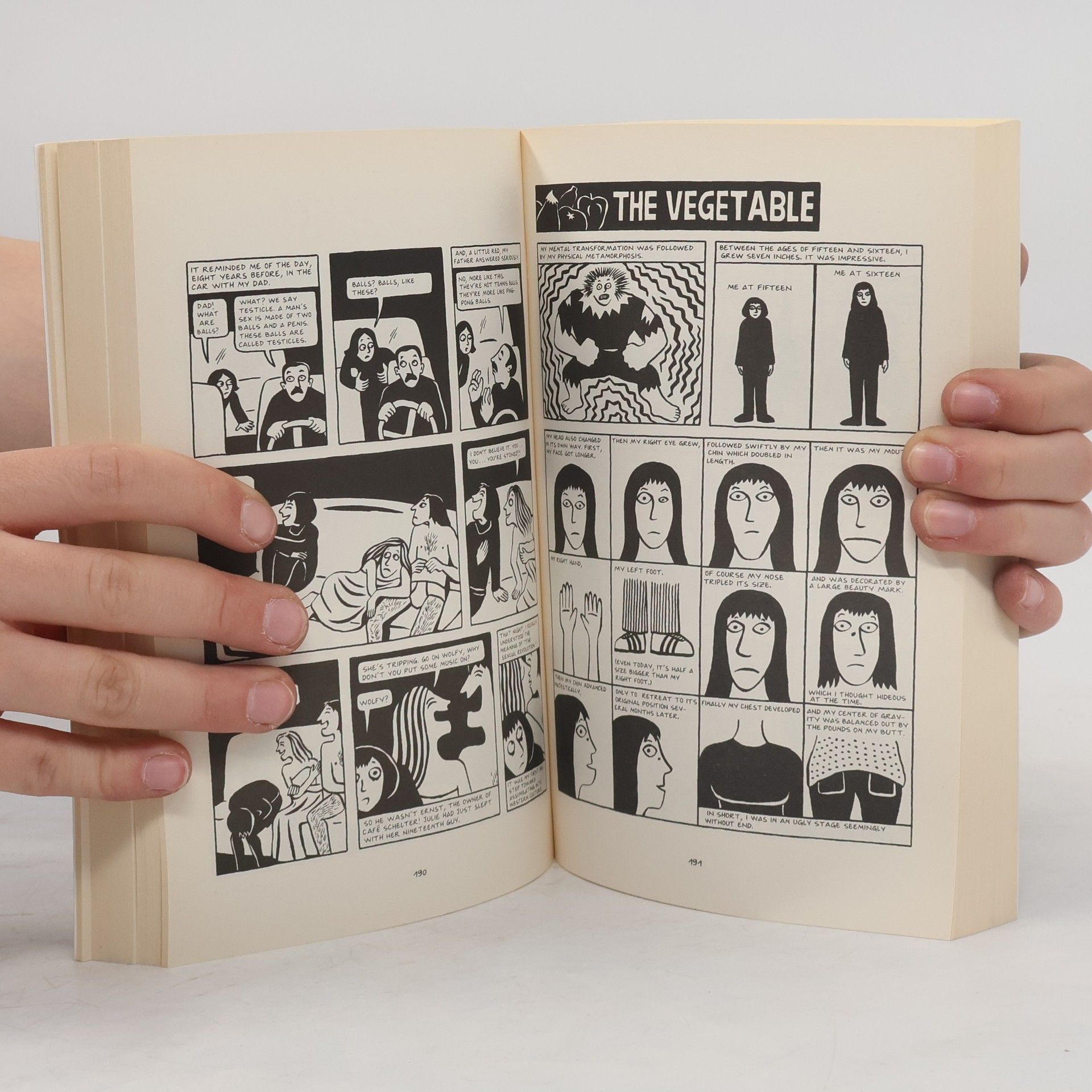 Marjane Satrapi Persepolis