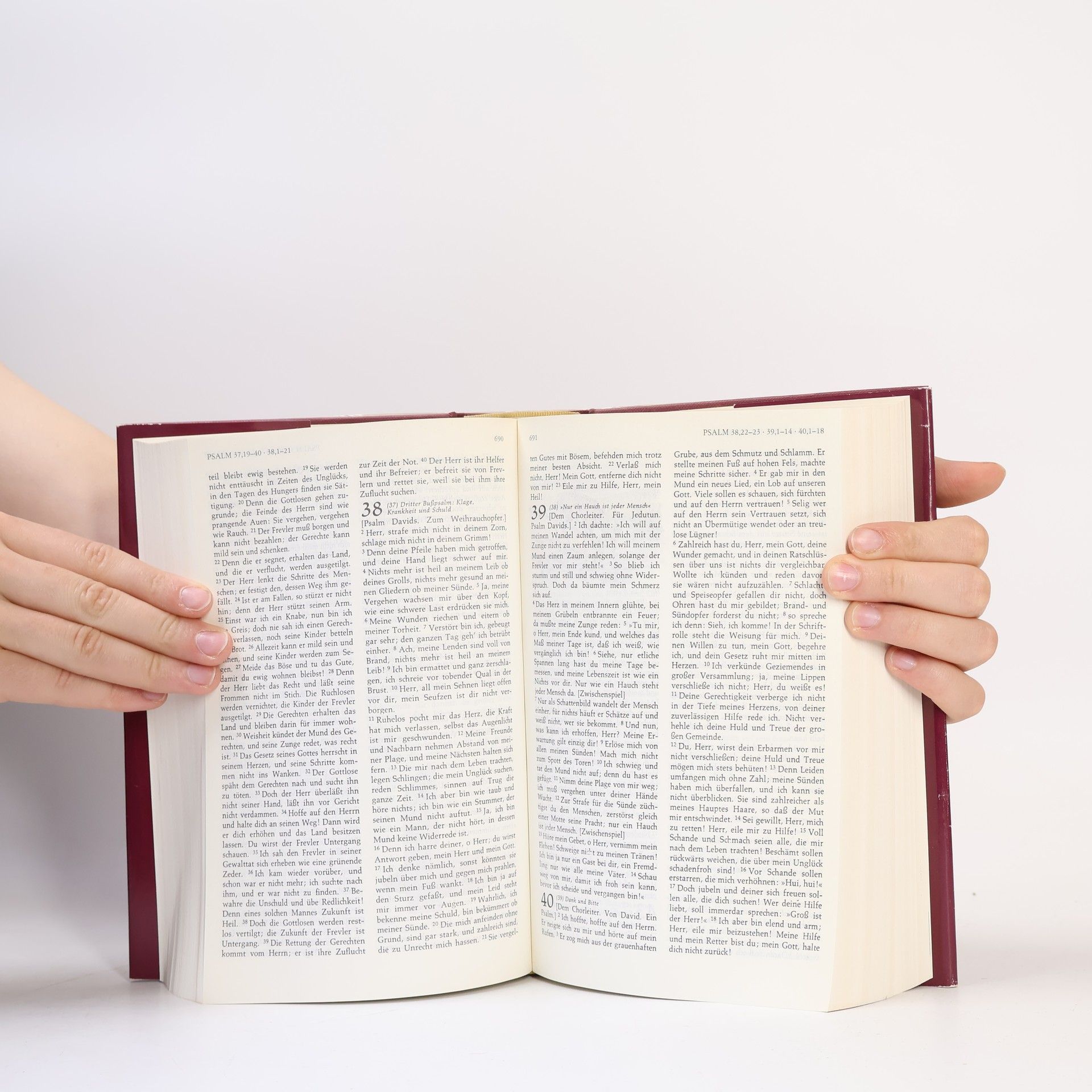 Kolektiv autorů Die Bibel