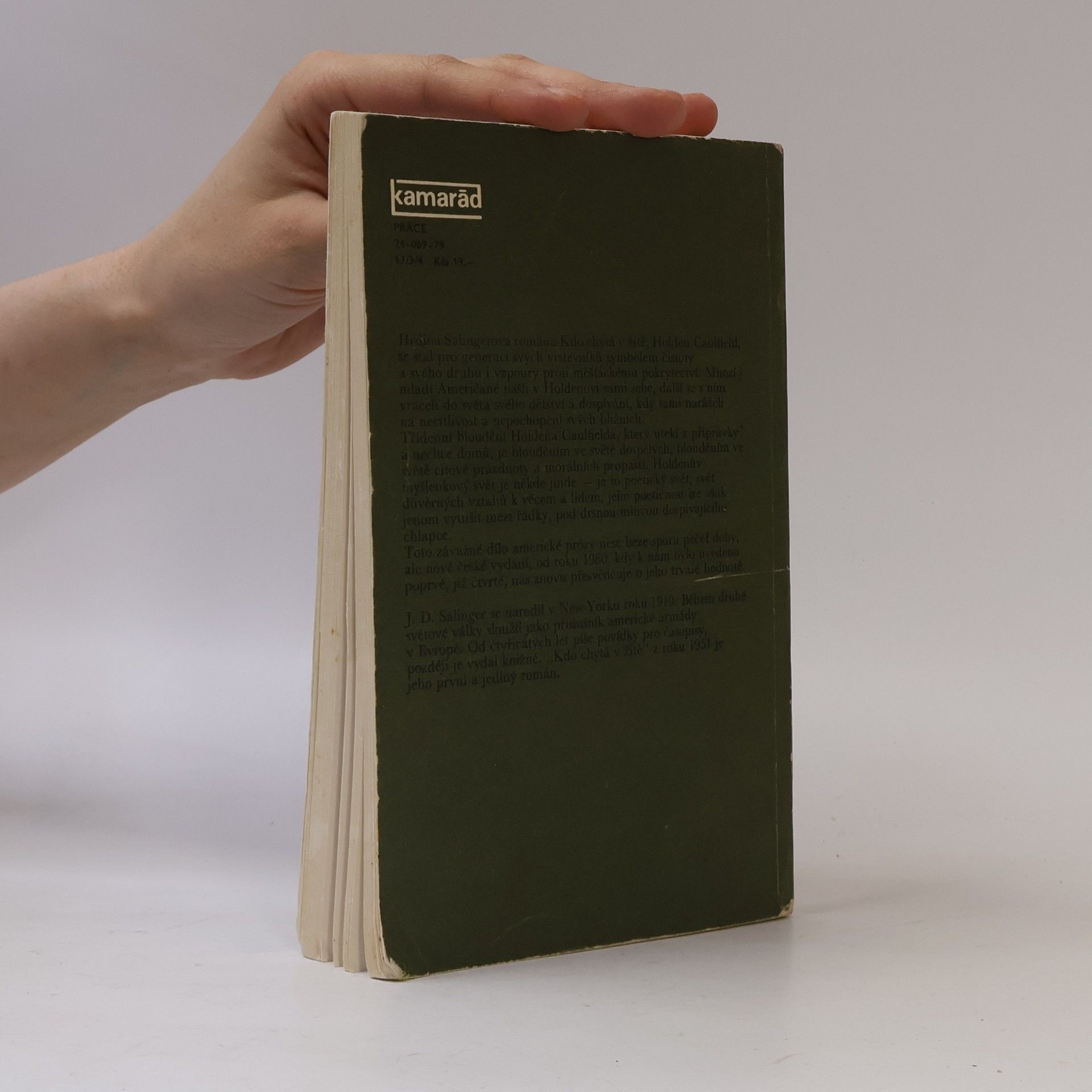 J. D. Salinger Kdo chytá v žitě
