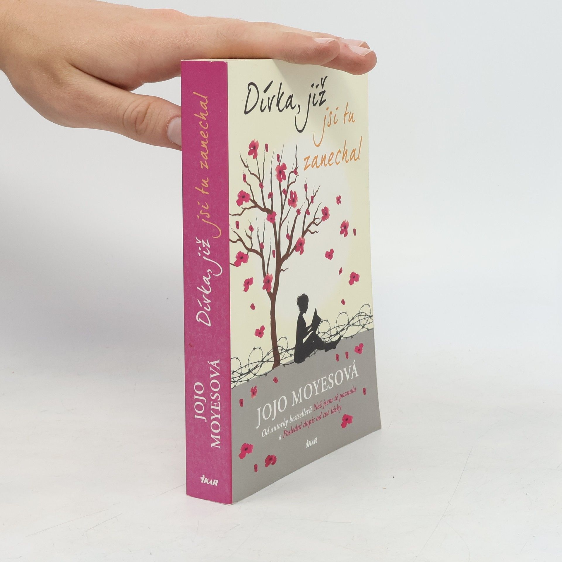 Jojo Moyes Dívka, již jsi tu zanechal