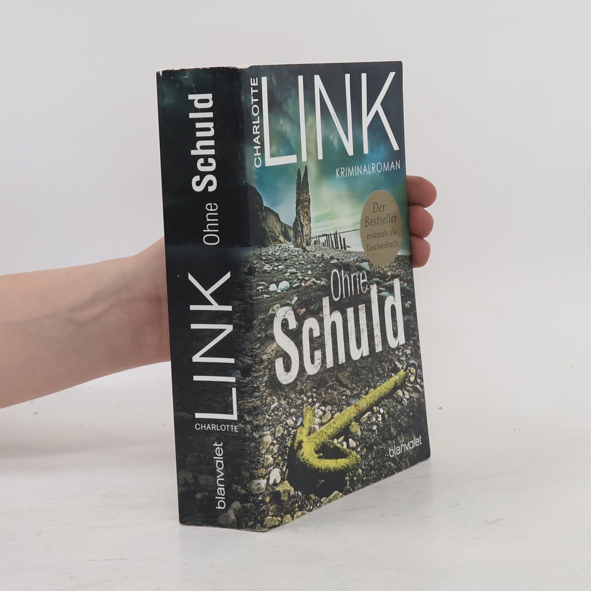Charlotte Link Ohne Schuld