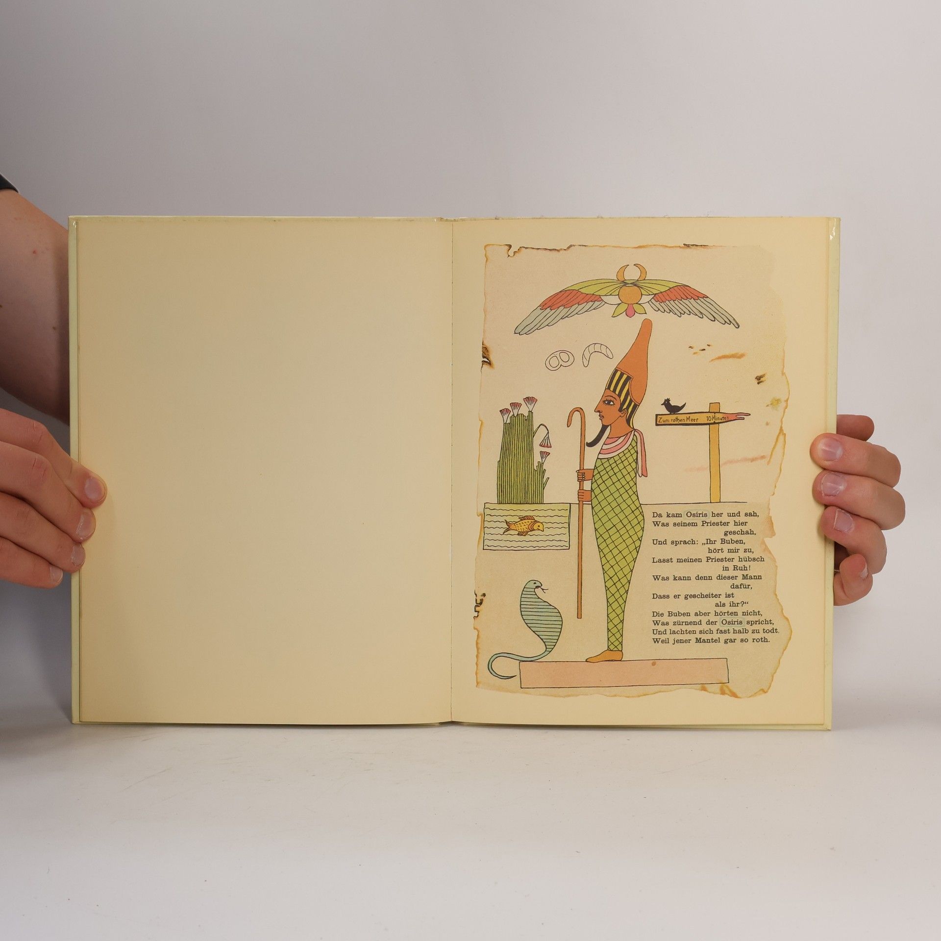 Richard Netolitzky Der aegyptische Struwwelpeter