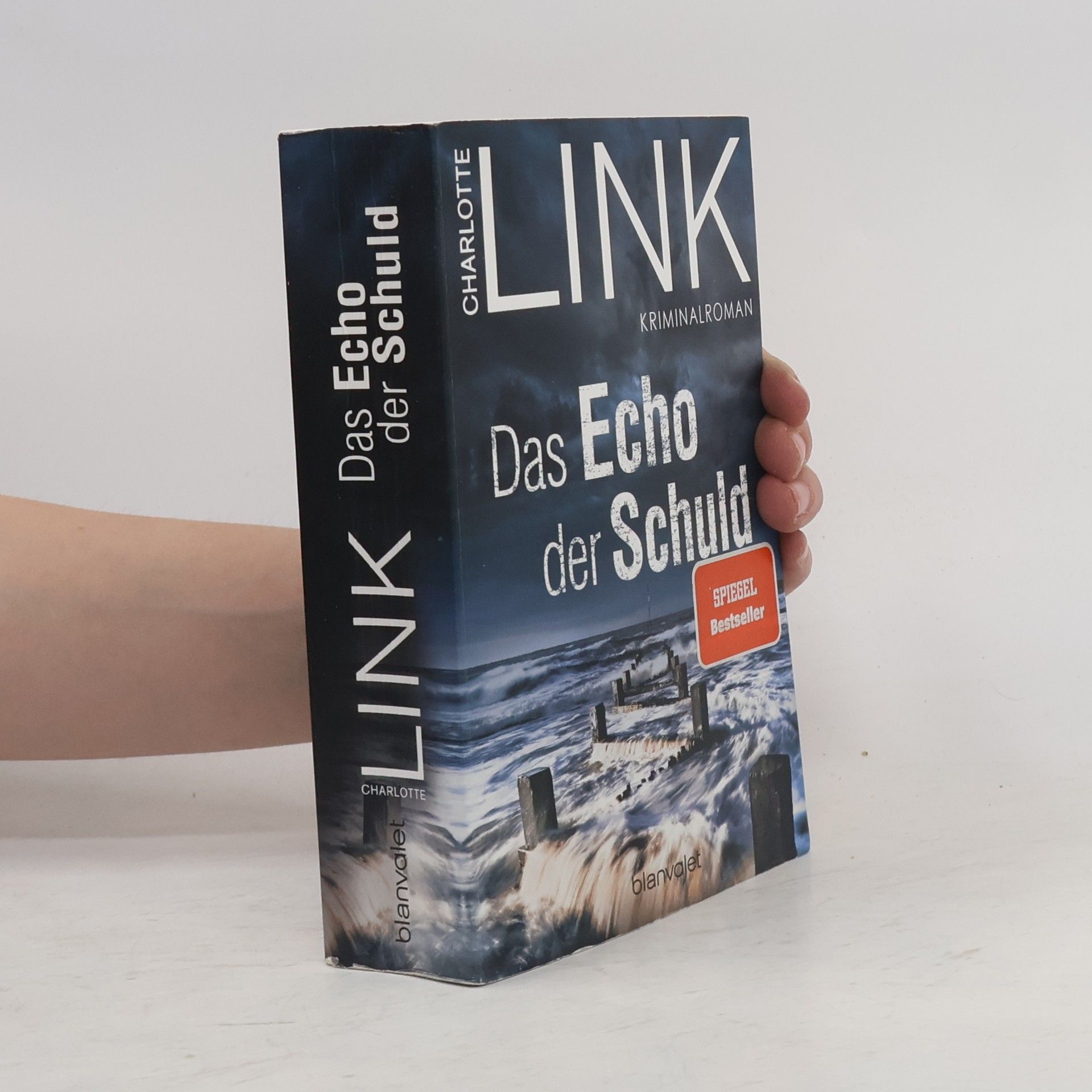 Charlotte Link Das Echo der Schuld