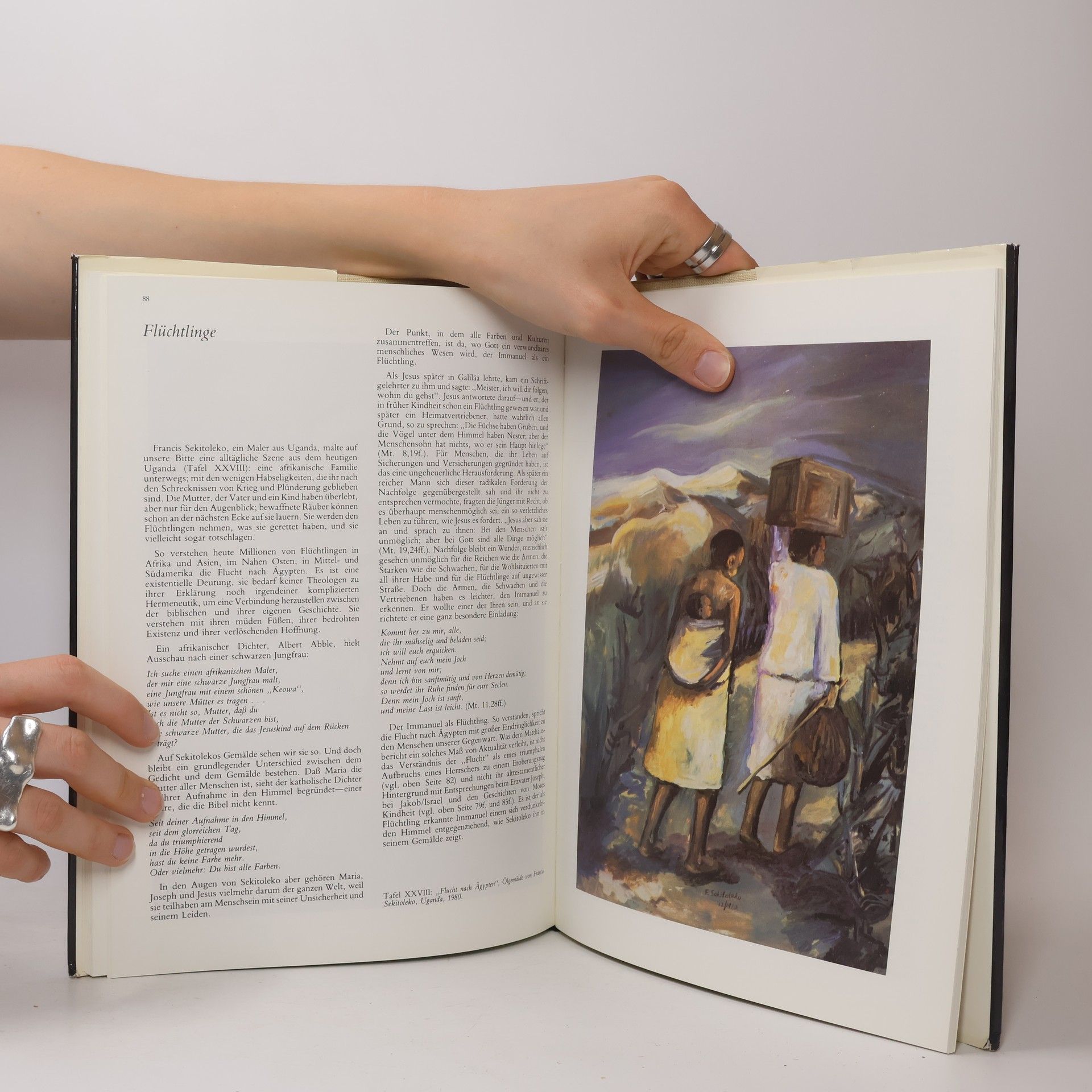 Kolektiv autorů Die Bibel mit Erklärungen