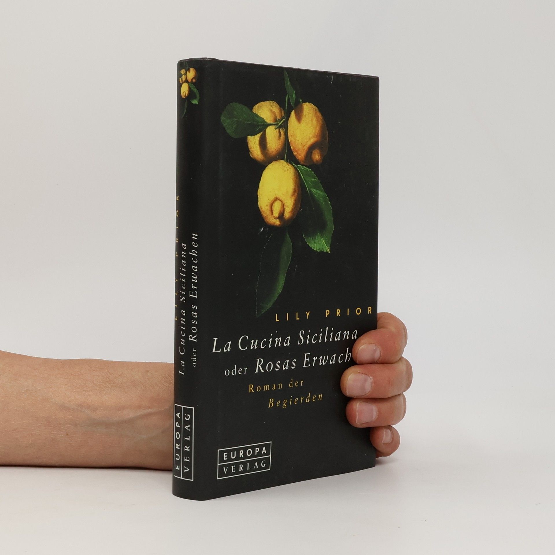 Lily Prior La cucina siciliana oder Rosas Erwachen