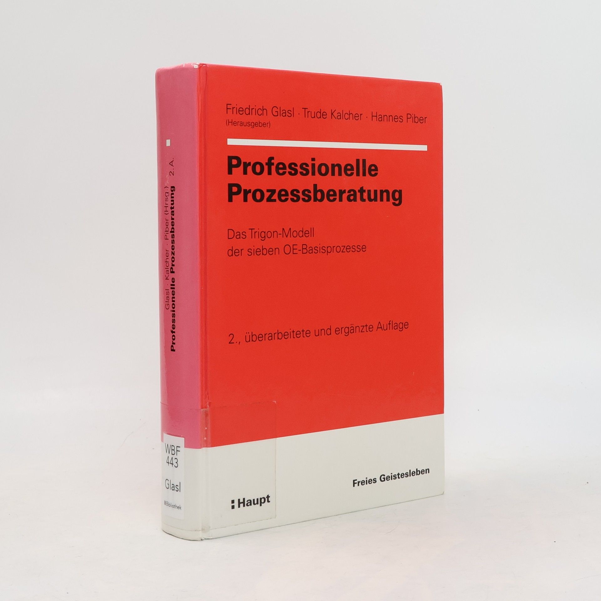 Professionelle Prozessberatung