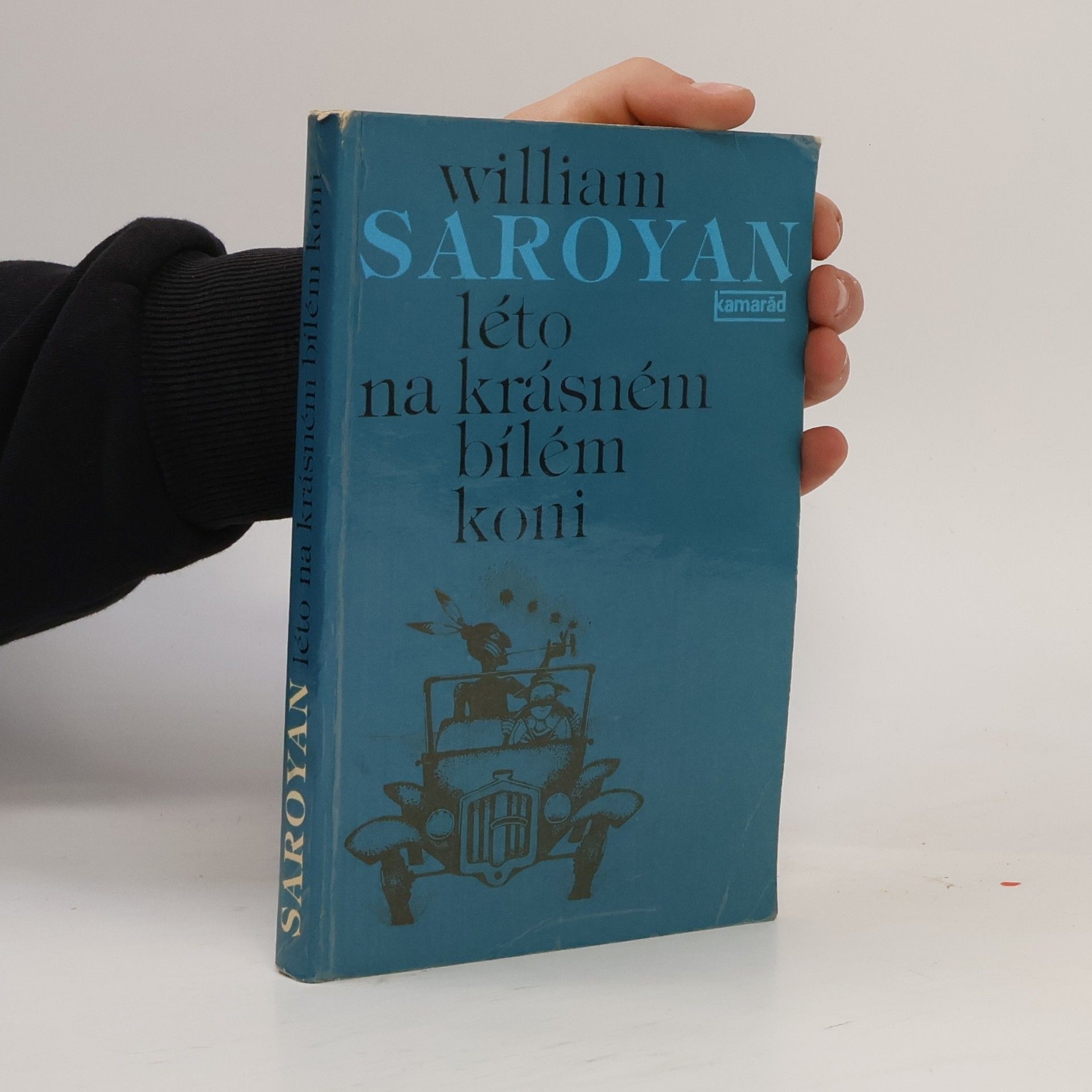 Léto na krásném bílém koni