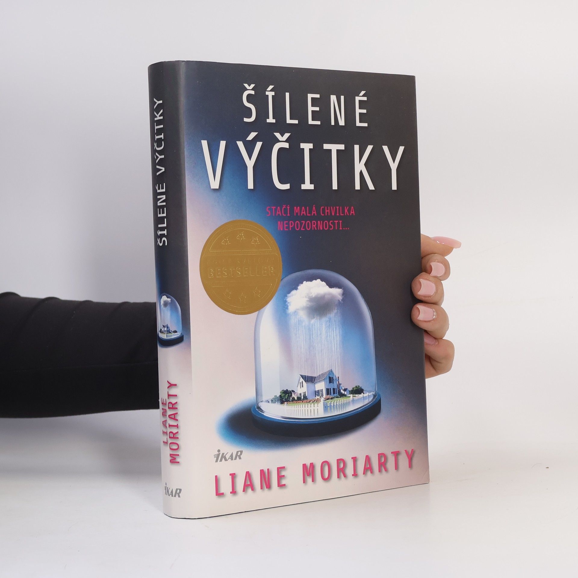 Liane Moriarty Šílené výčitky