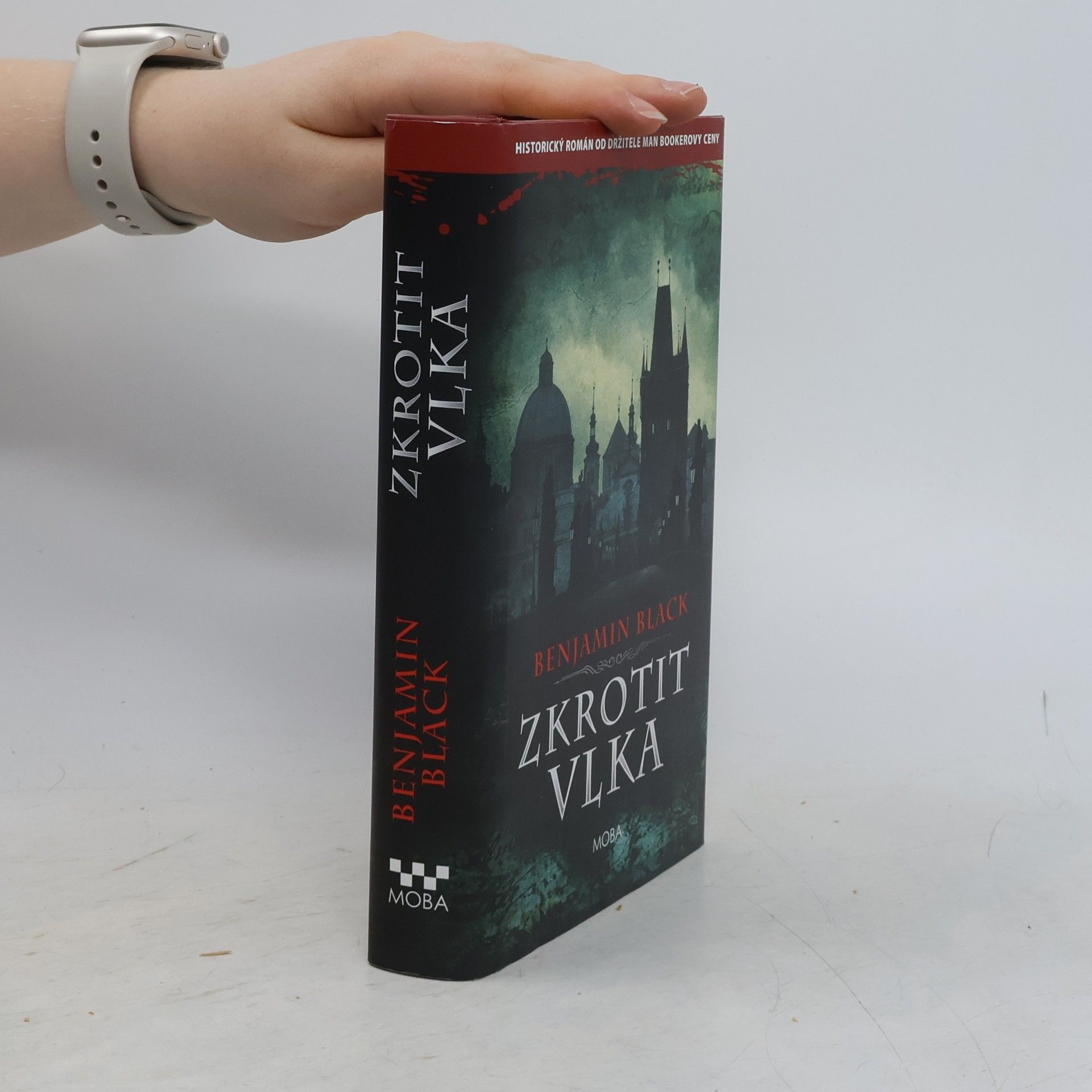 John Banville Zkrotit vlka