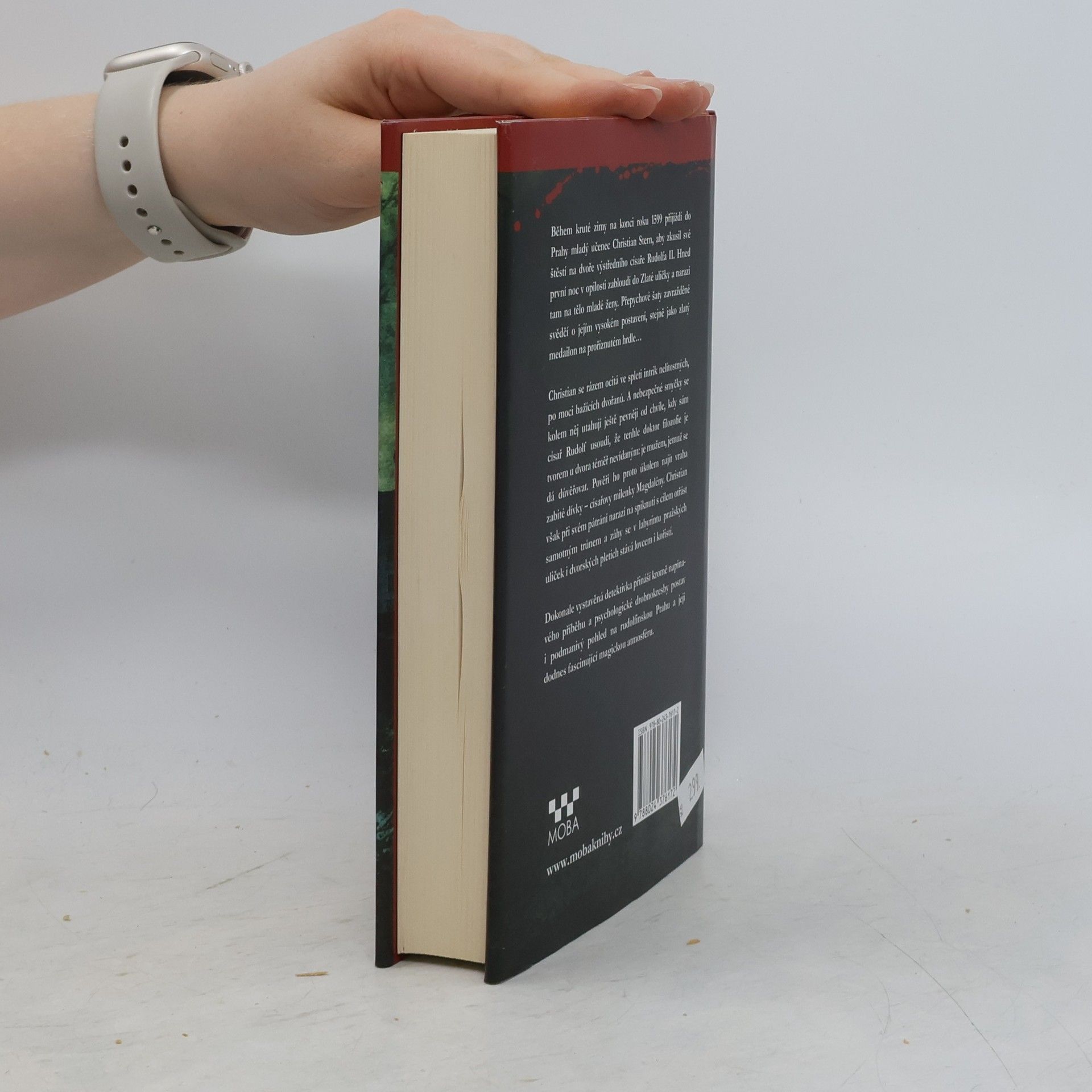 John Banville Zkrotit vlka