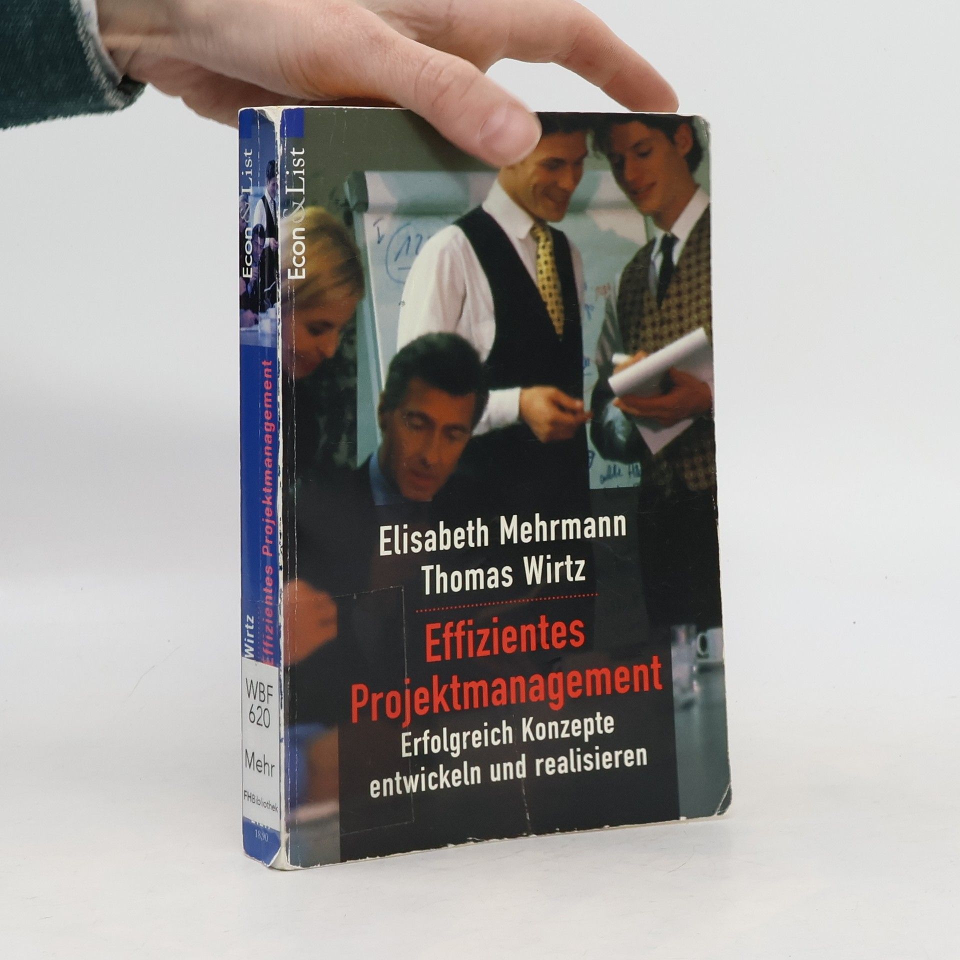 Elisabeth Mehrmann Effizientes Projektmanagement