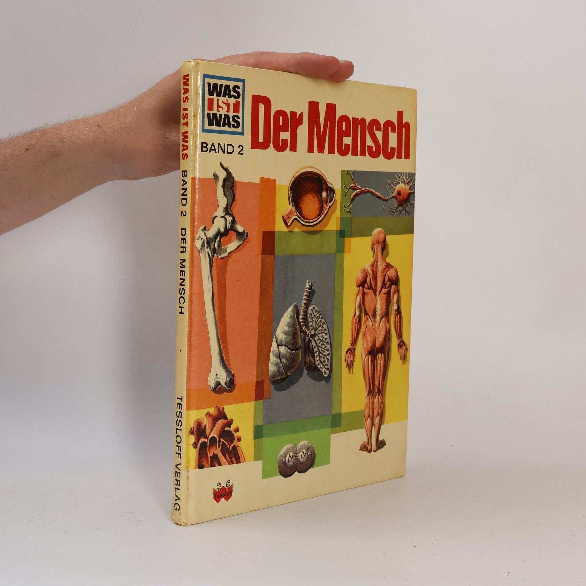 Signe Seiler Der Mensch