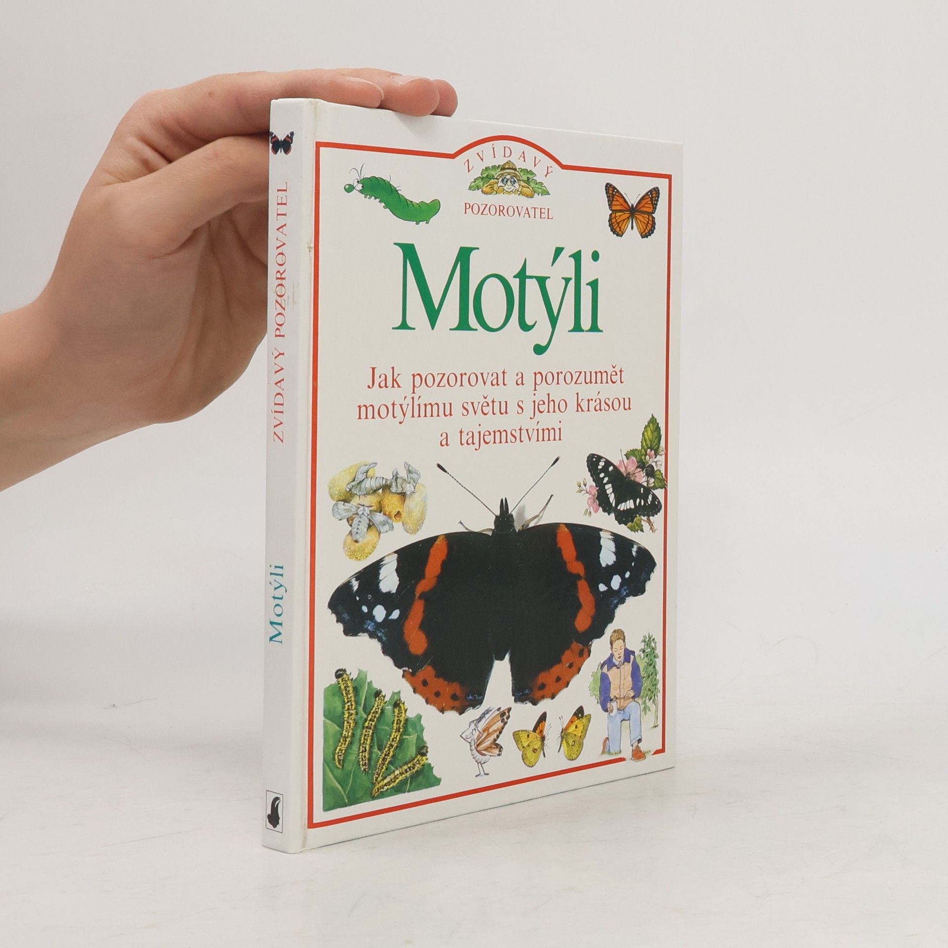 Autorenkollektiv Motýli