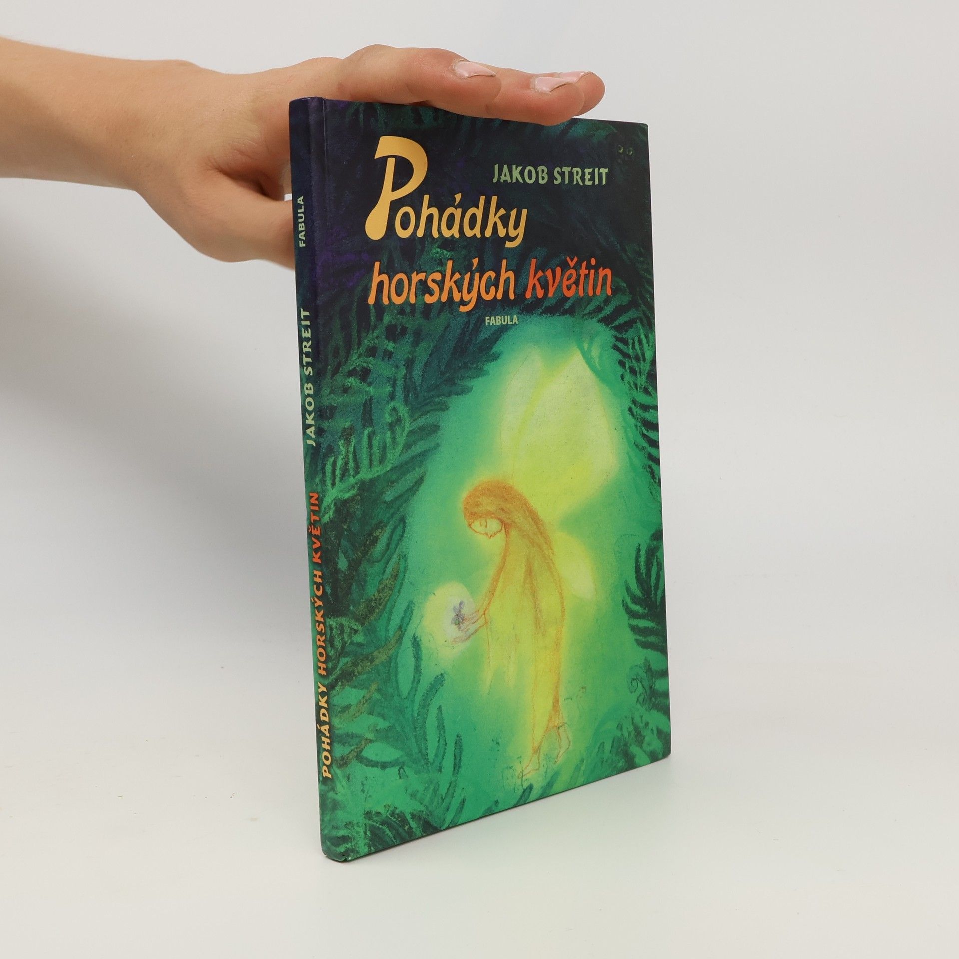 Markéta Kotková Pohádky horských květin