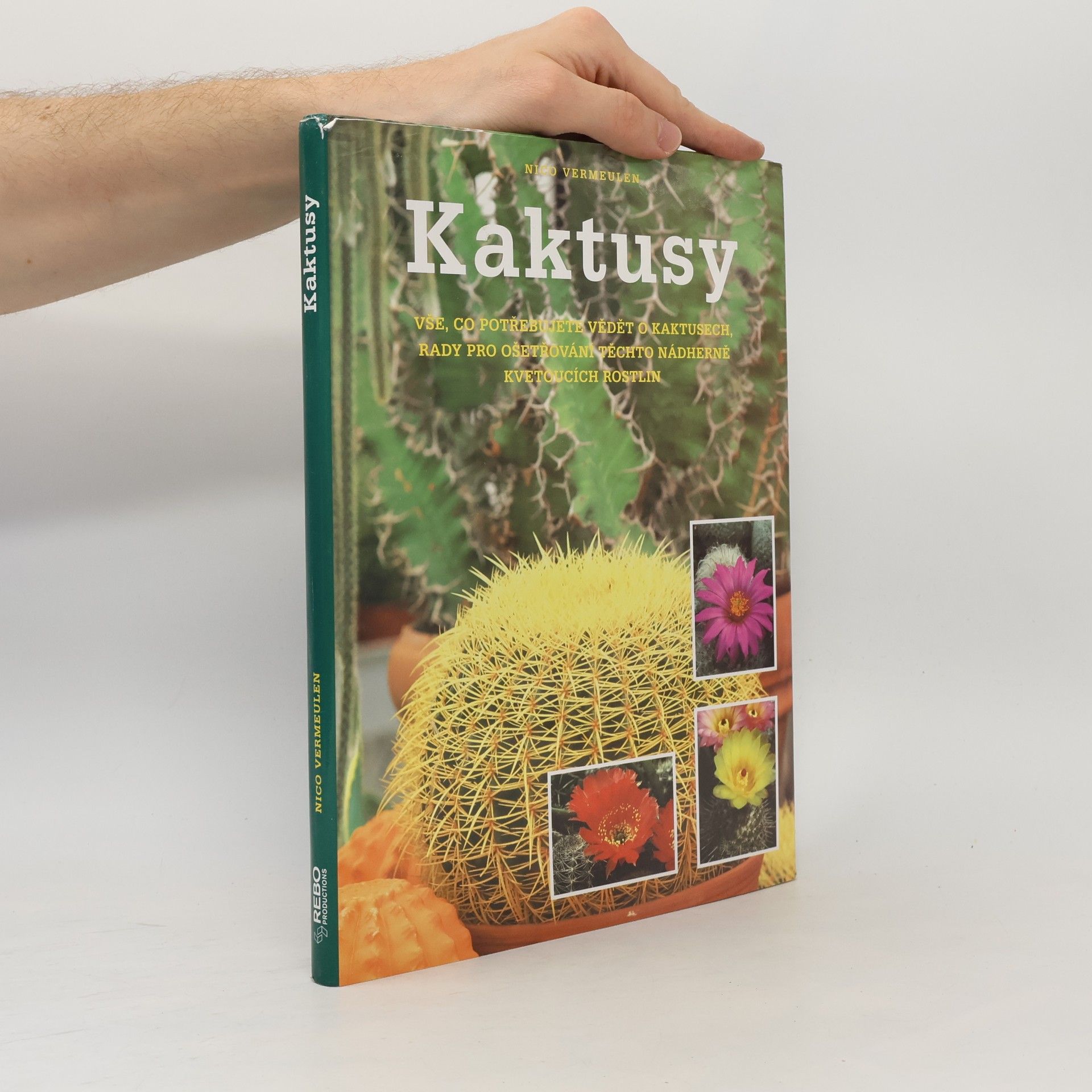 Nico Vermeulen Kaktusy