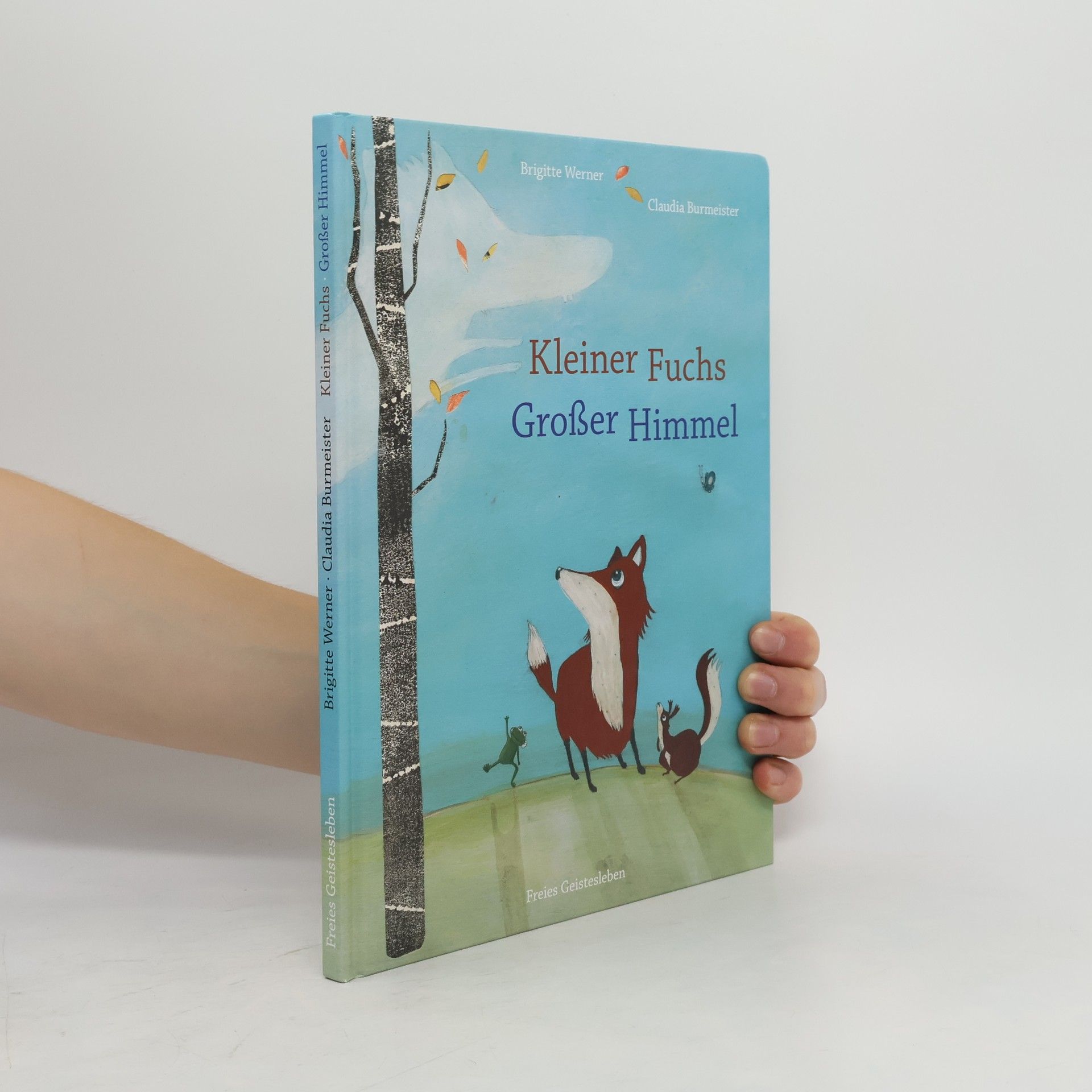 Claudia Burmeister Kleiner Fuchs, großer Himmel