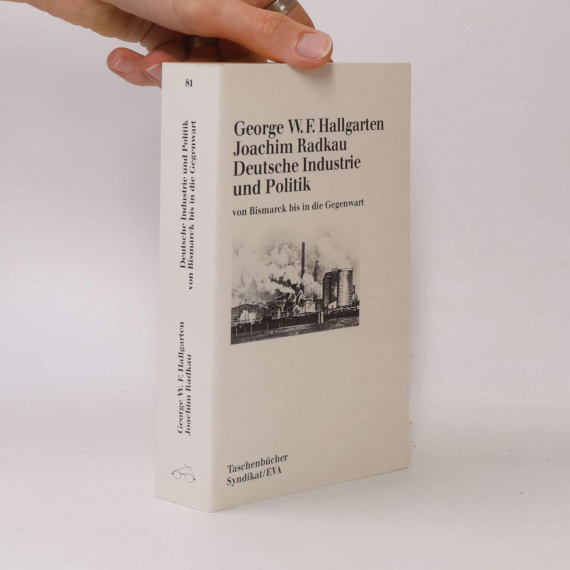 EVA Taschenbücher - 81: Deutsche Industrie und Politik