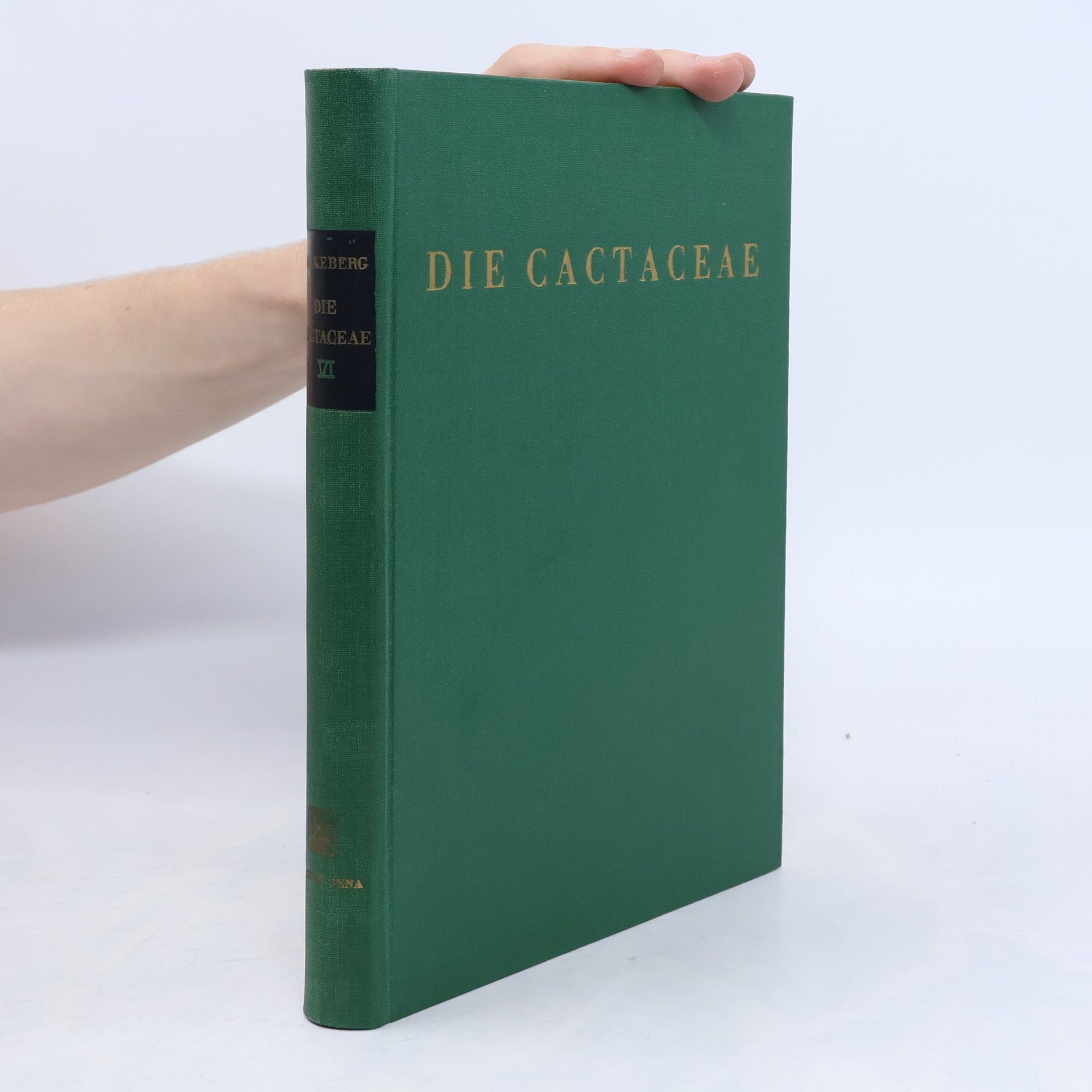 Kolektiv autorů Die Cactaceae VI.