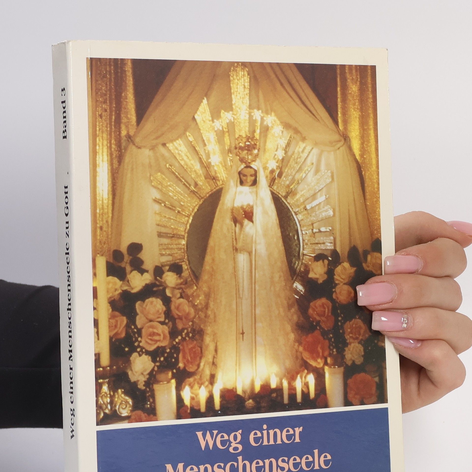 Autorenkollektiv Weg einer Menschenseele zu Gott. Band 3