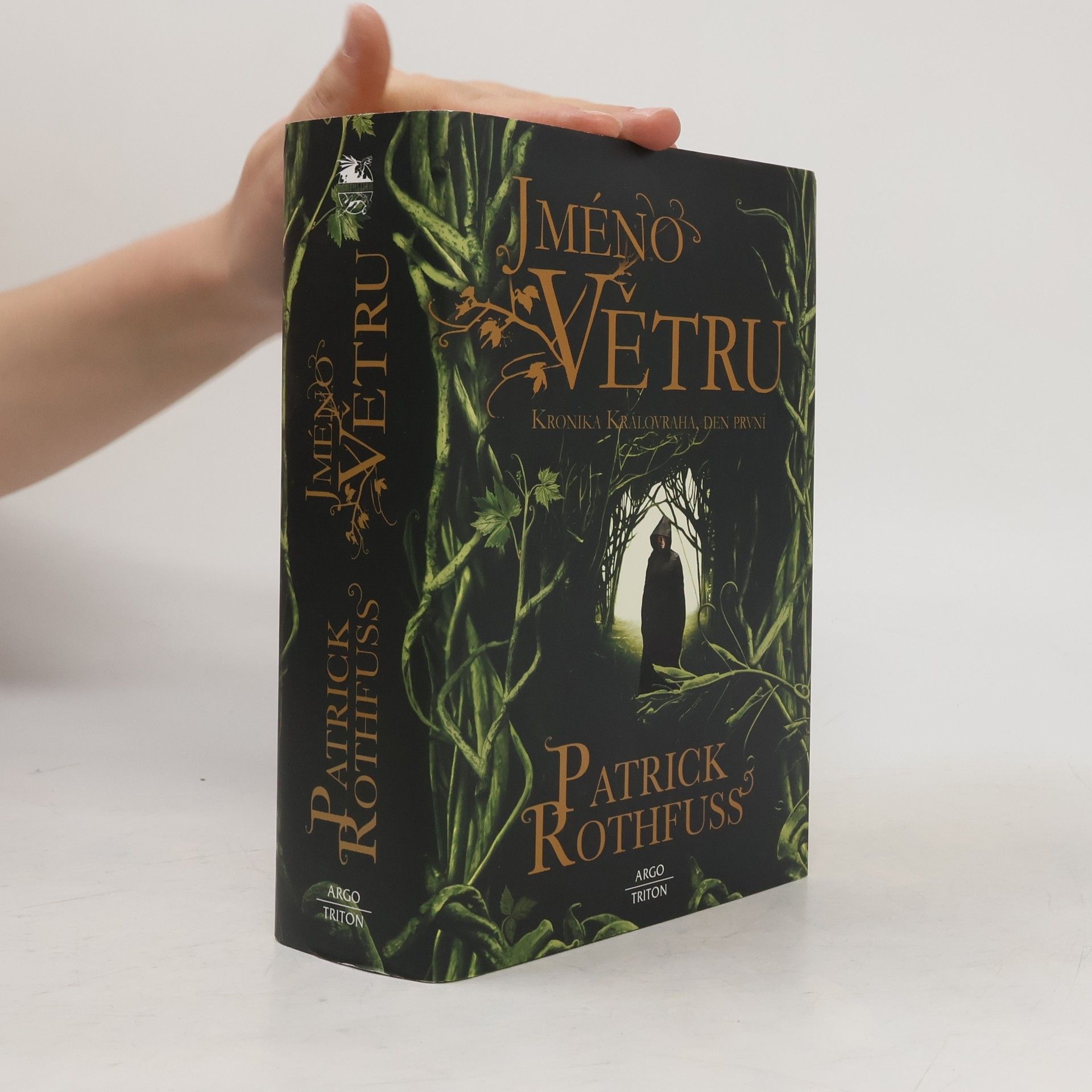 Patrick Rothfuss Jméno větru