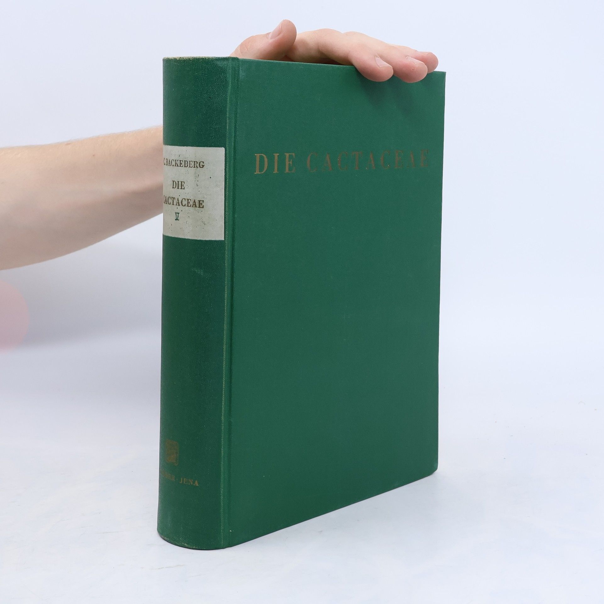 Curt Backeberg Die Cactaceae: Handbuch der Kakteenkunde. Band V