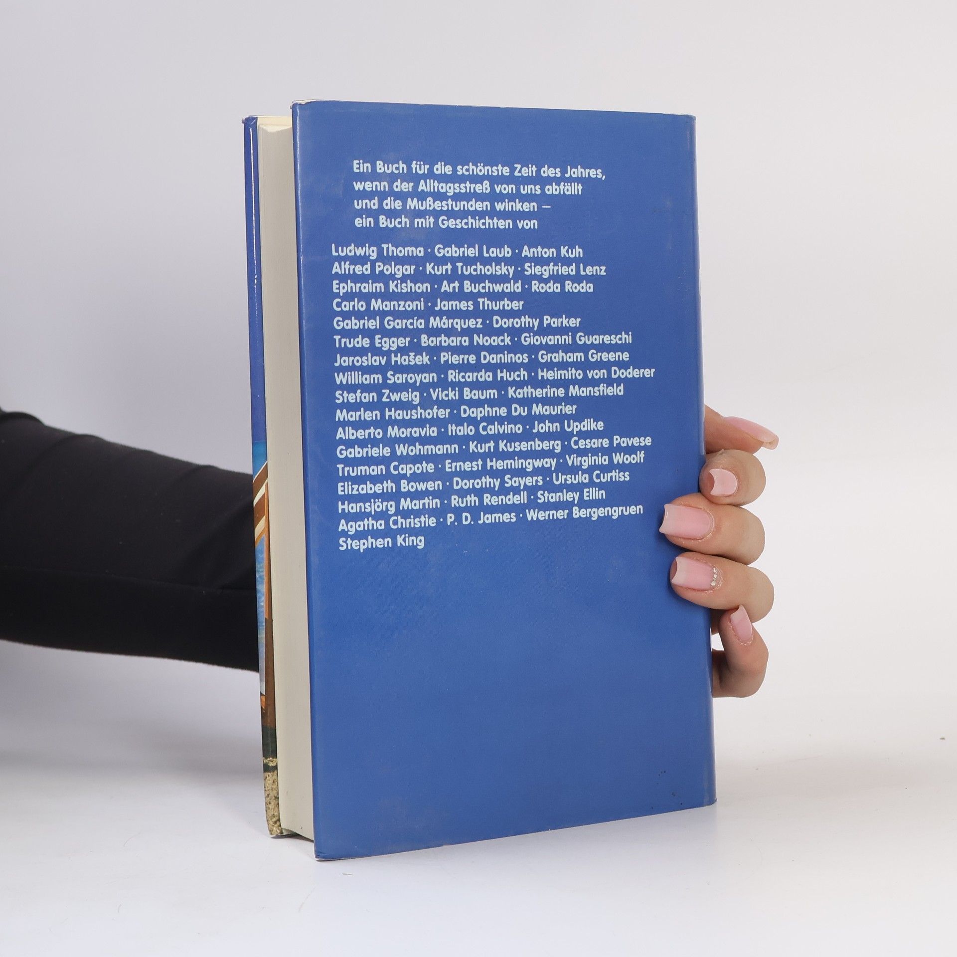 Autorenkollektiv Das große Ferien-Lesebuch