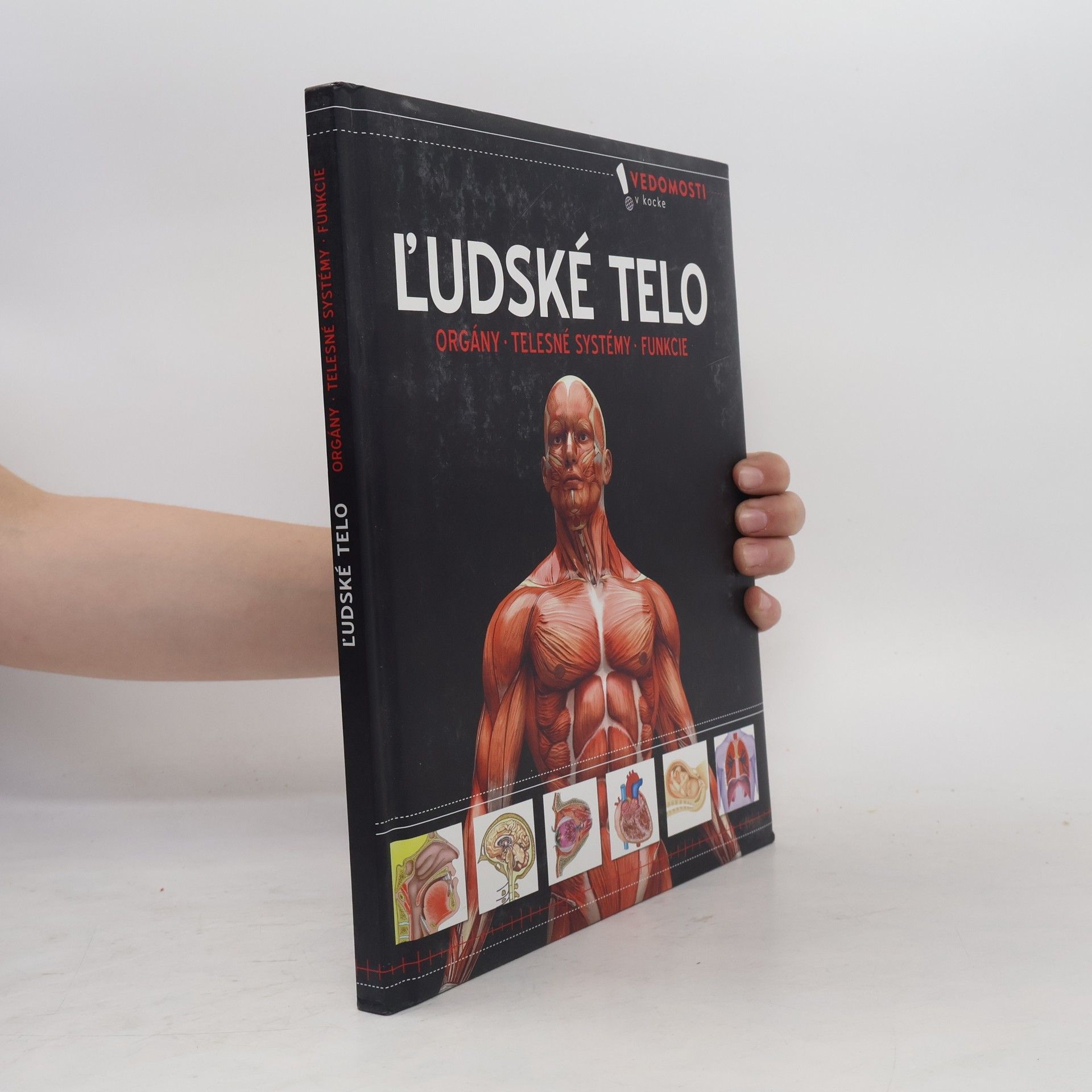 Autorenkollektiv Ľudské telo