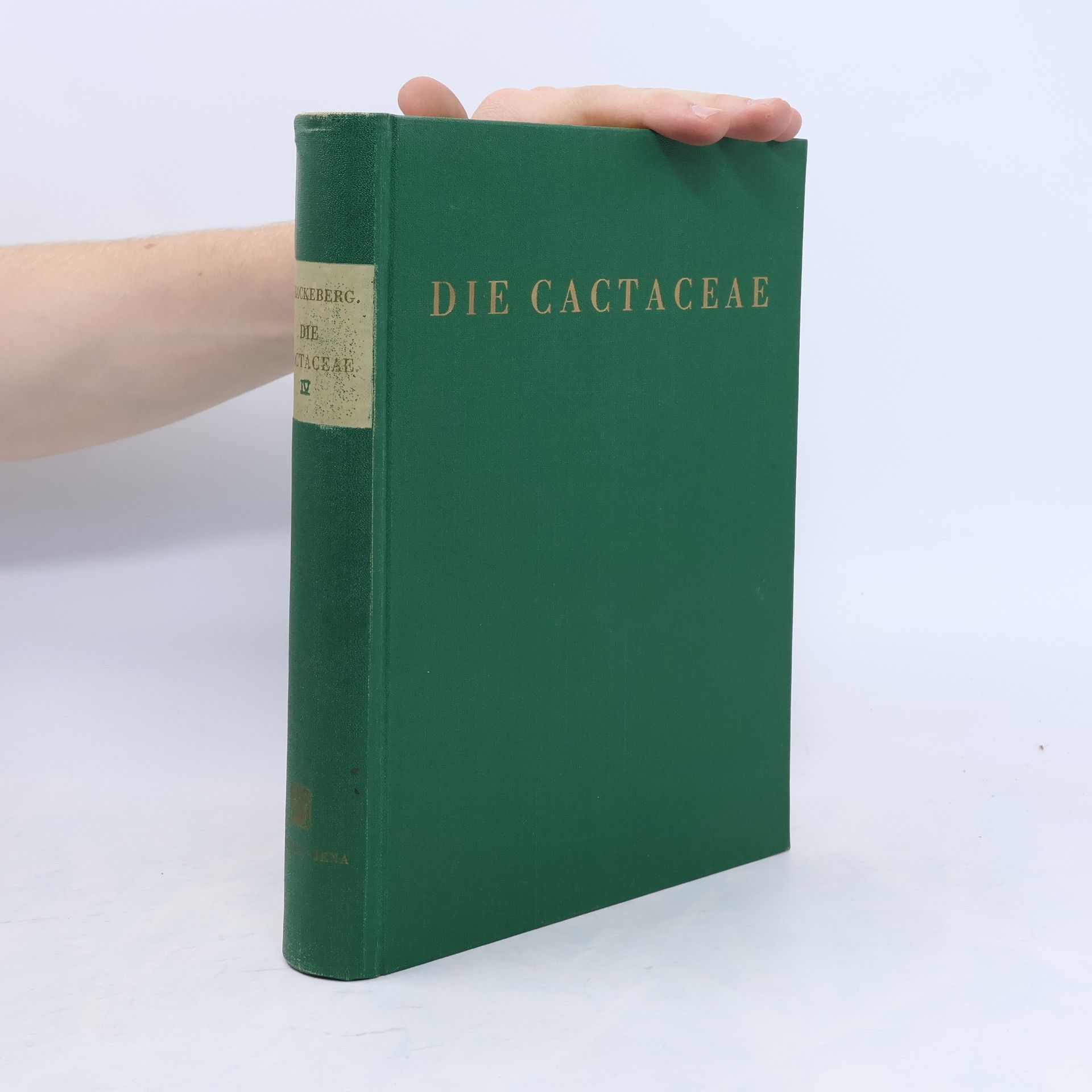 Autorenkollektiv Die Cactaceae VI.