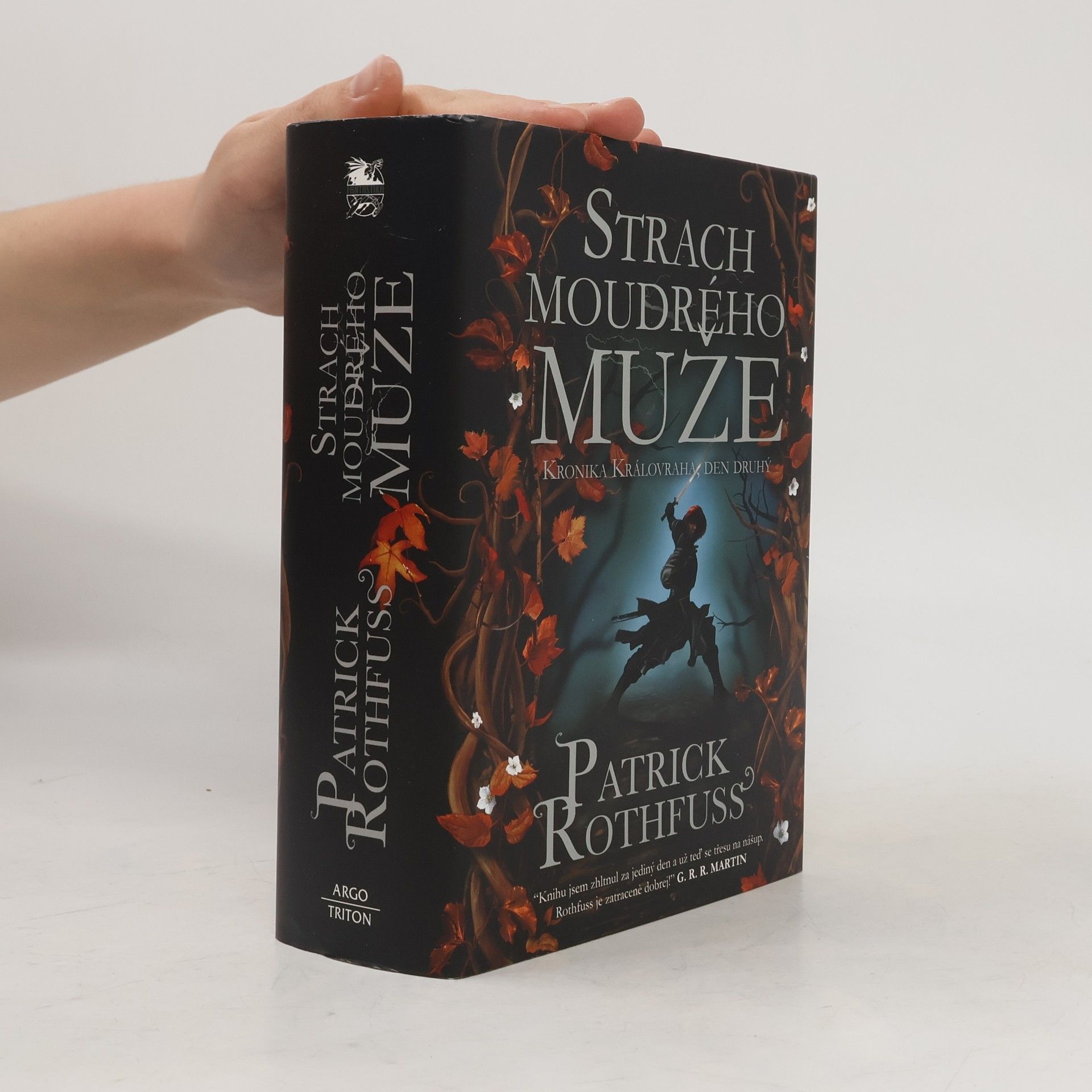 Patrick Rothfuss Strach moudrého muže