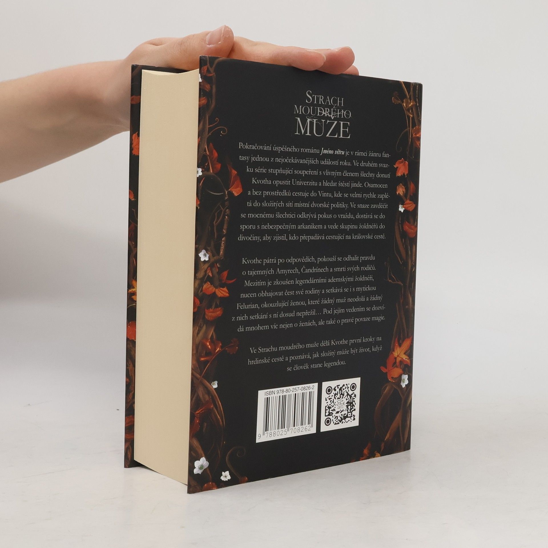 Patrick Rothfuss Strach moudrého muže