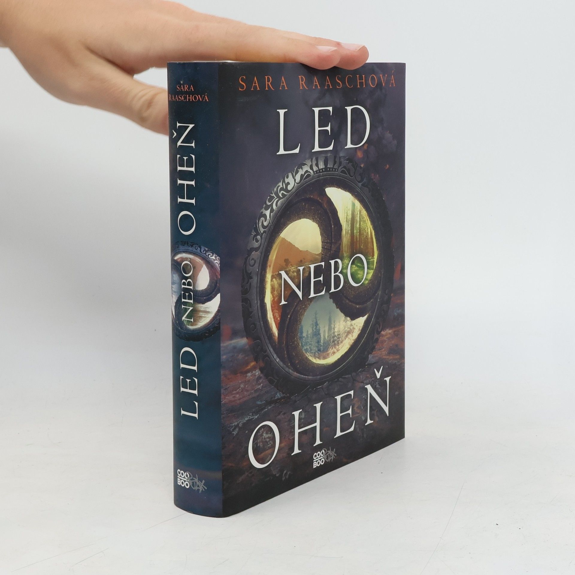 Sara Raash Led nebo oheň