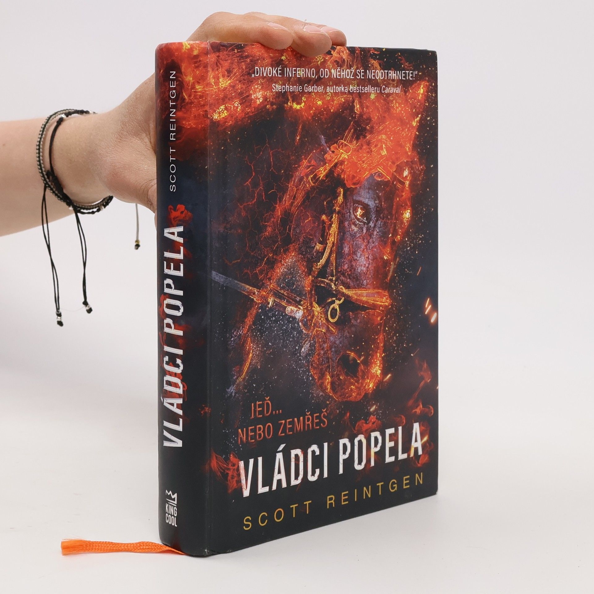 Scott Reintgen Vládci popela