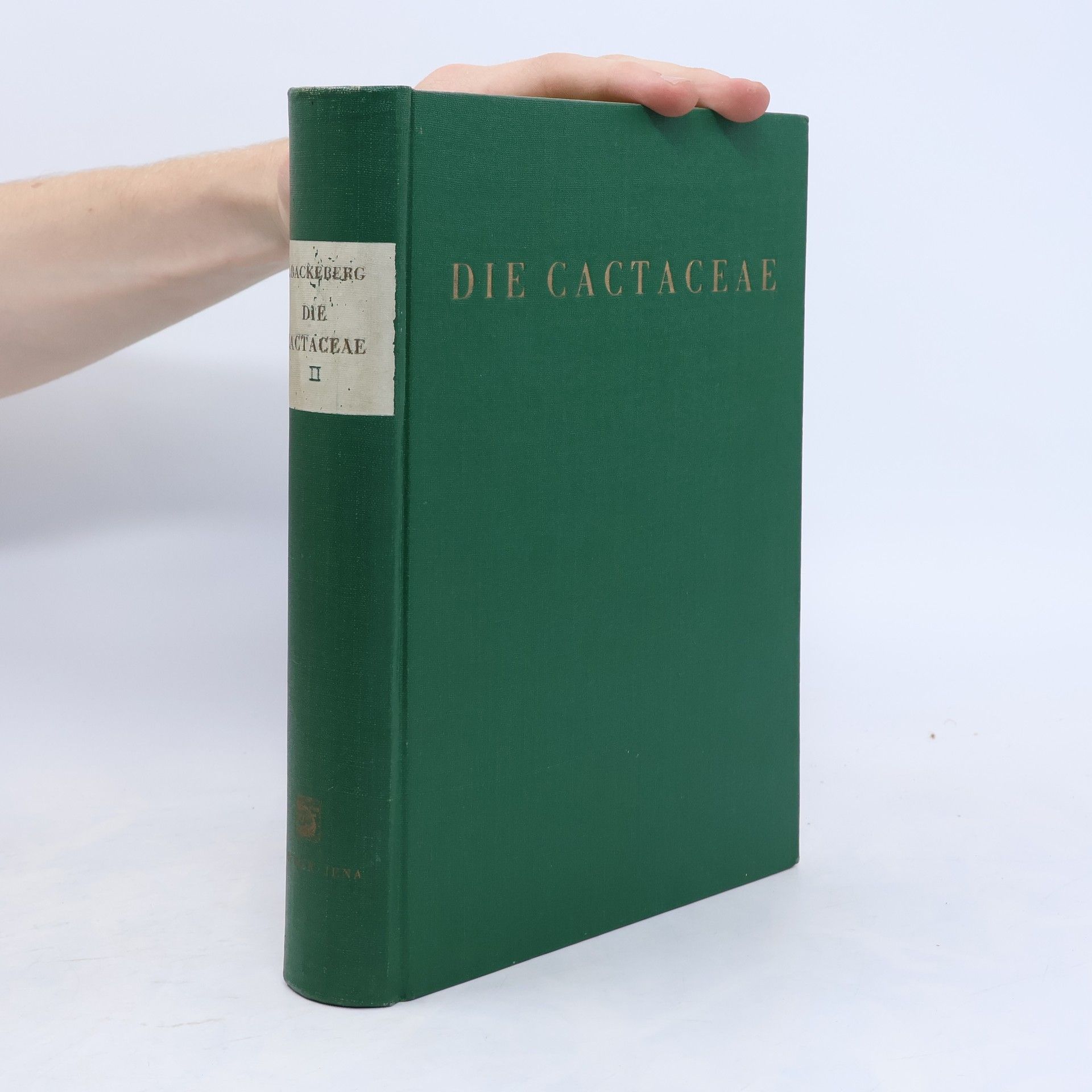 Autorenkollektiv Die Cactaceae VI.