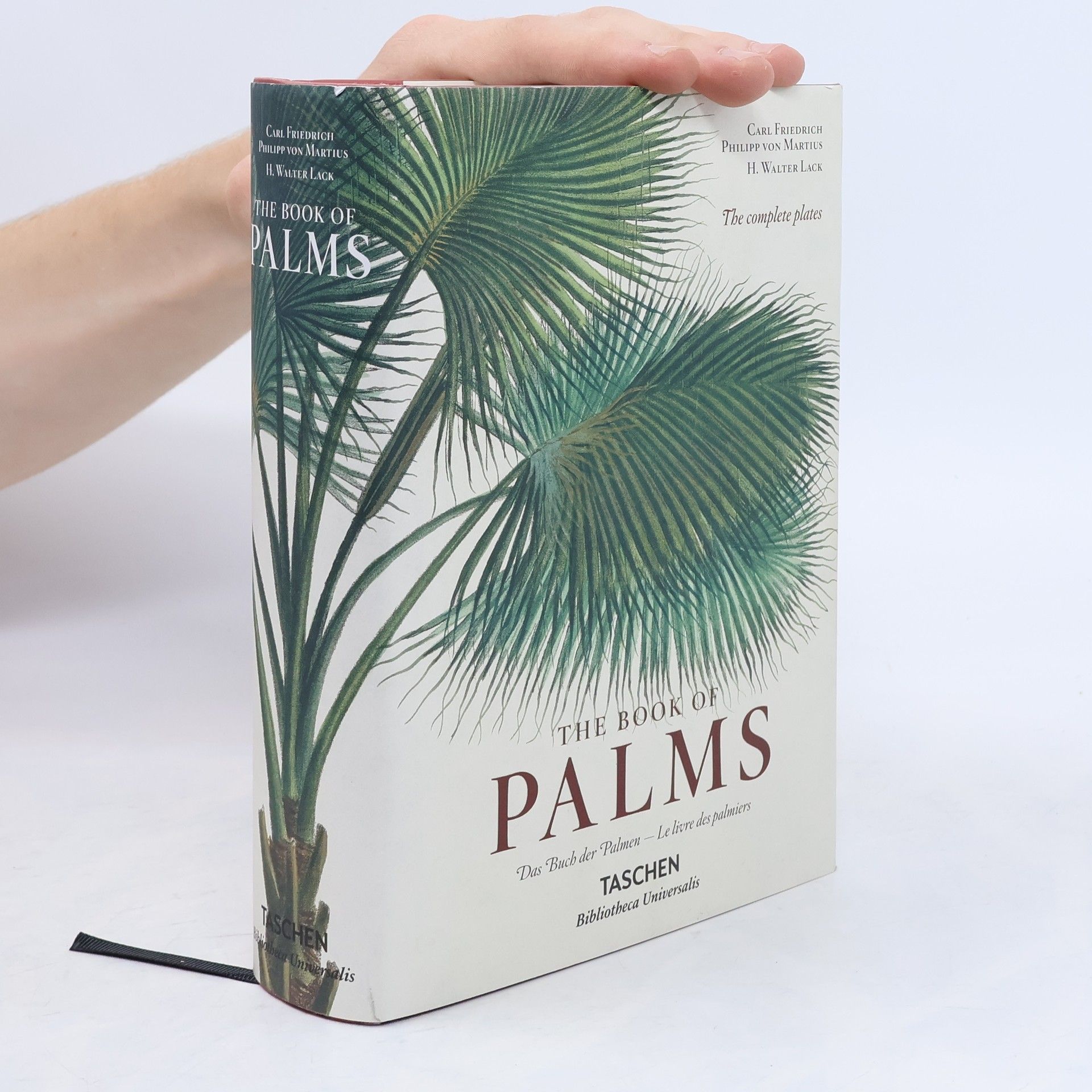 Various authors The book of palms - Das Buch der Palmen - Le livre des palmiers