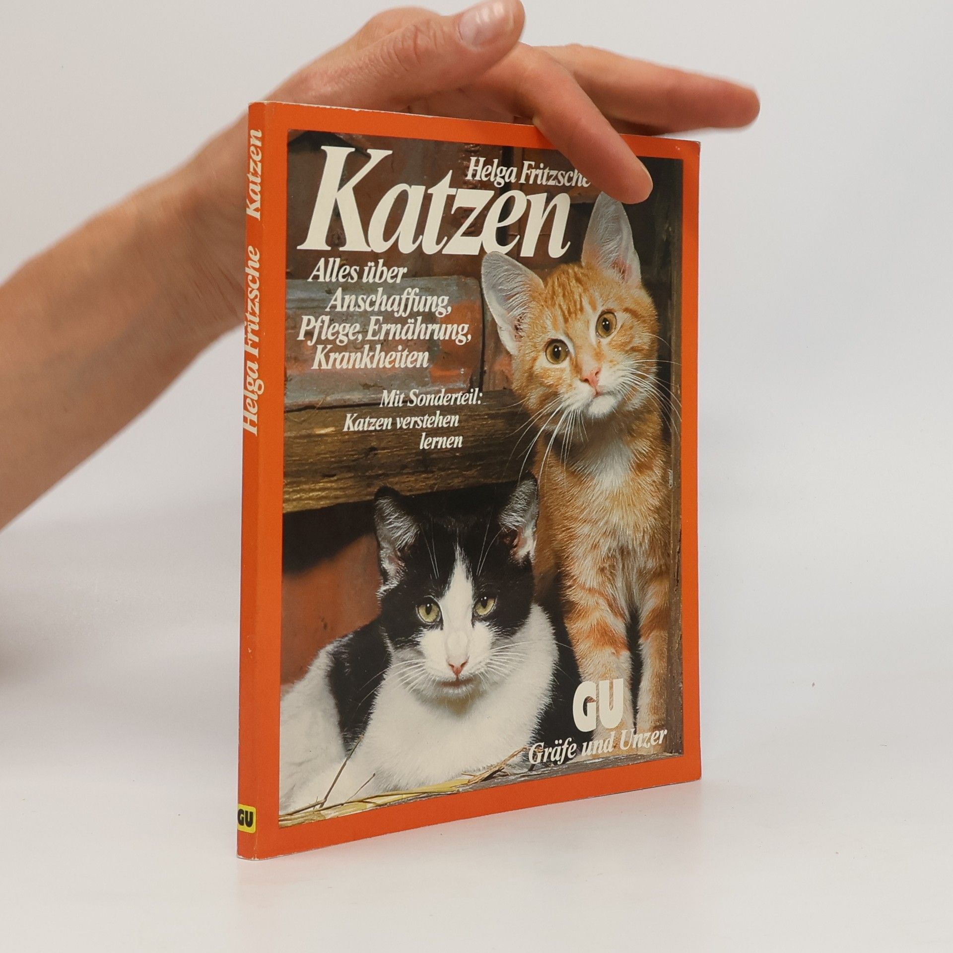 Katzen