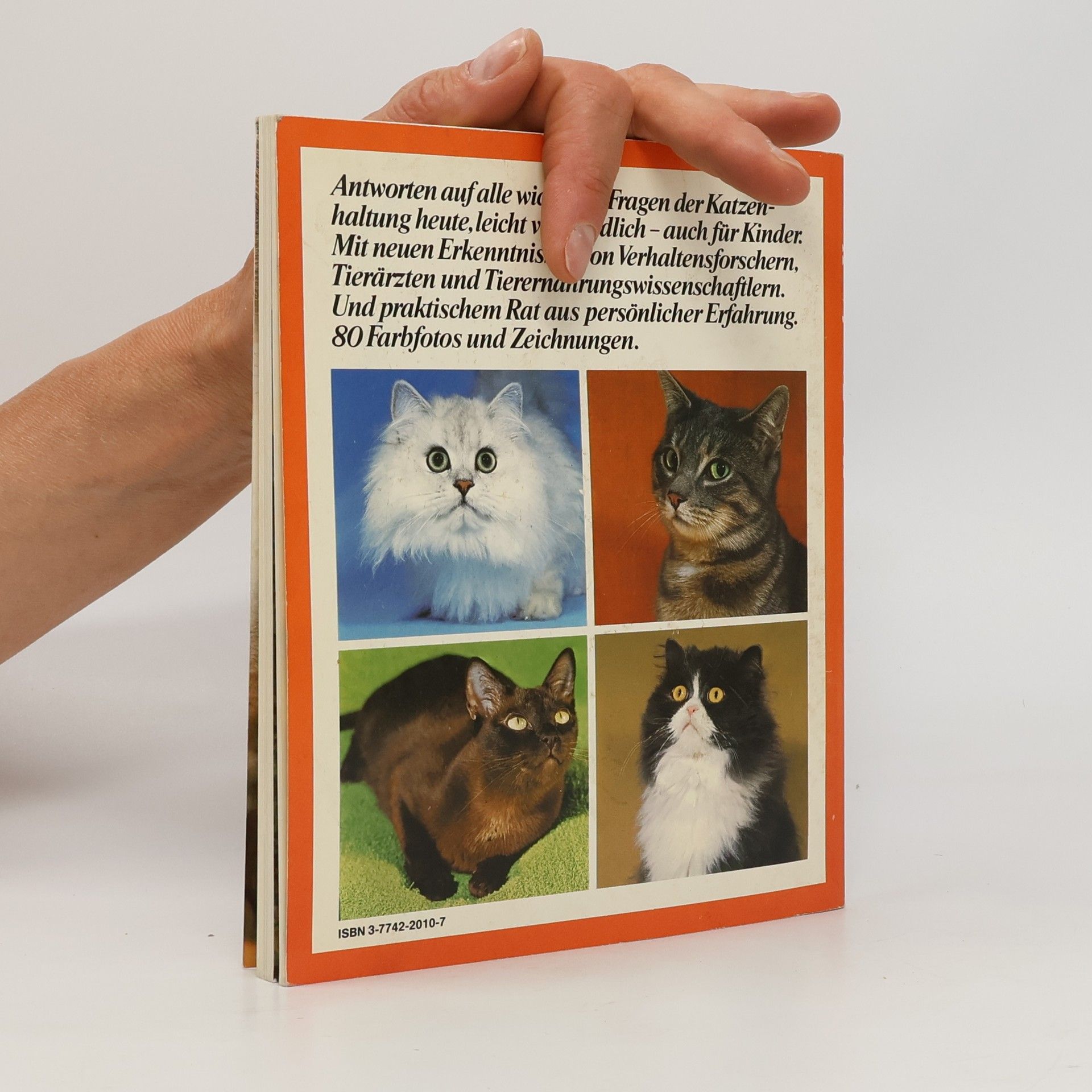 Helga Fritzsche Katzen