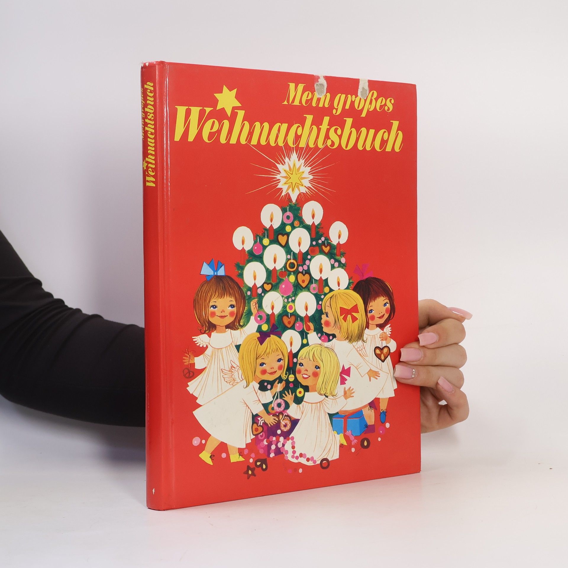 Autorenkollektiv Mein Grosses Weihnachtsbuch
