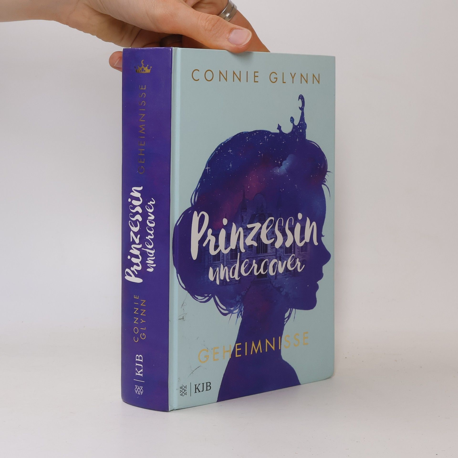 Connie Glynn Prinzessin undercover. Geheimnisse