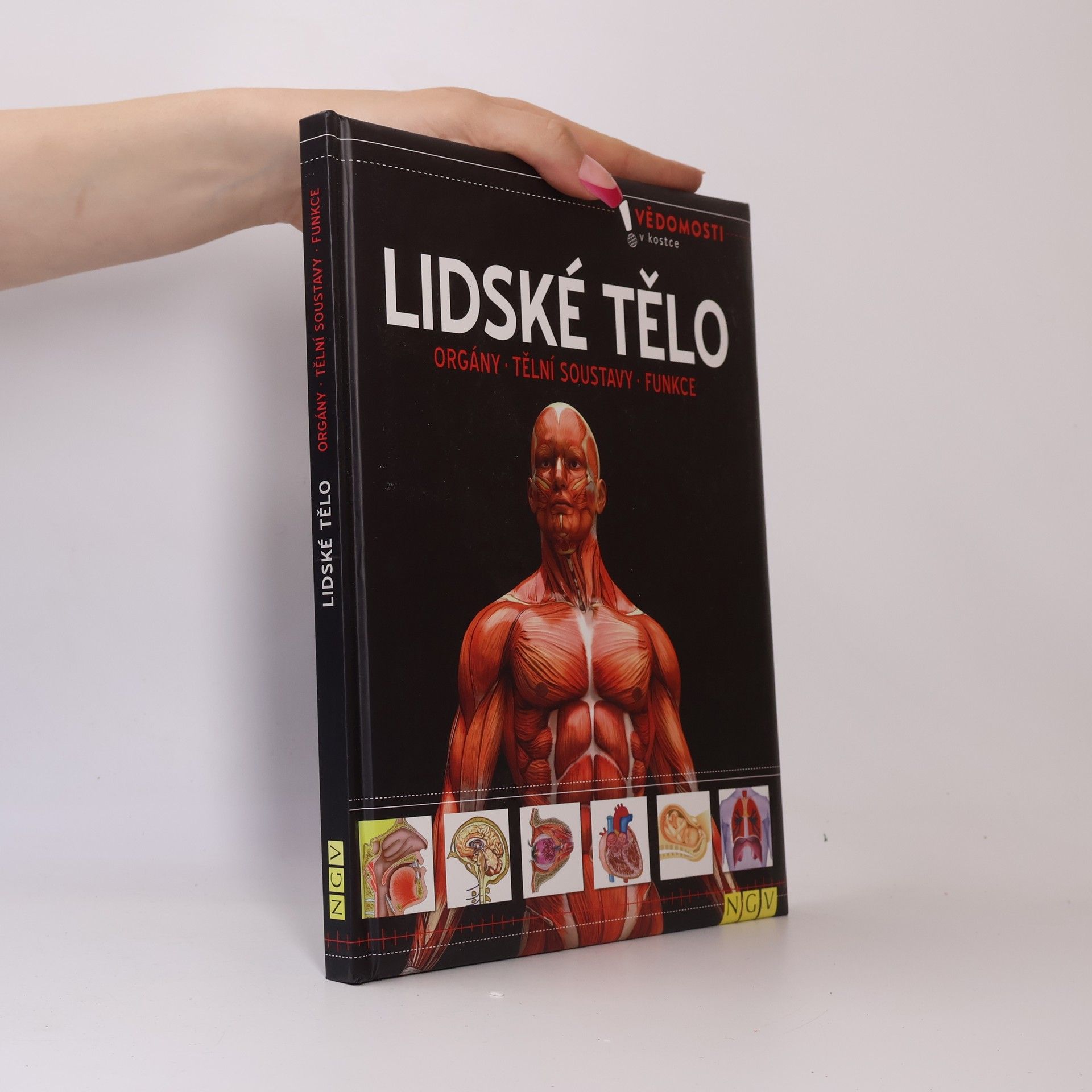 Auteurscollectief Lidské tělo