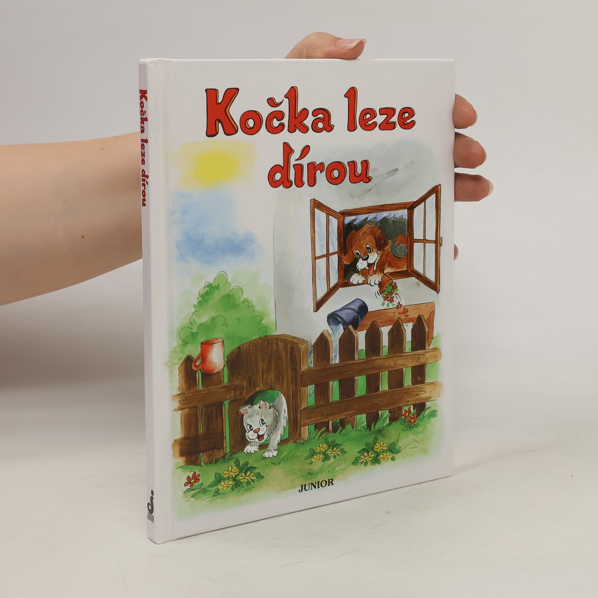 Vladimíra Vopičková Kočka leze dírou