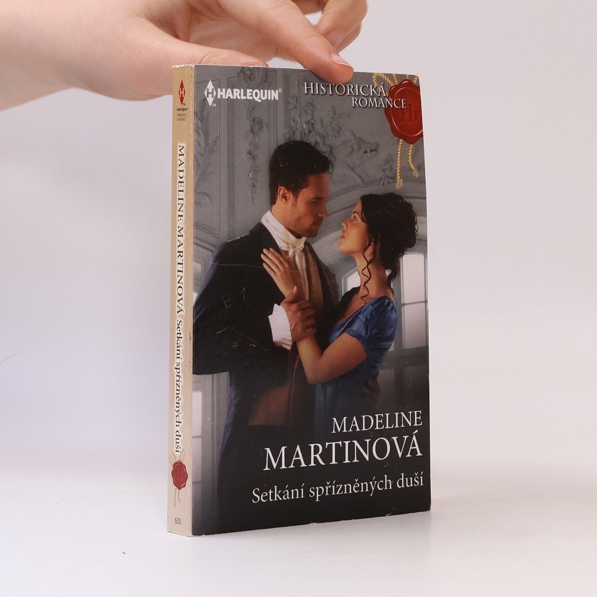 Madeline Martin Setkání spřízněných duší