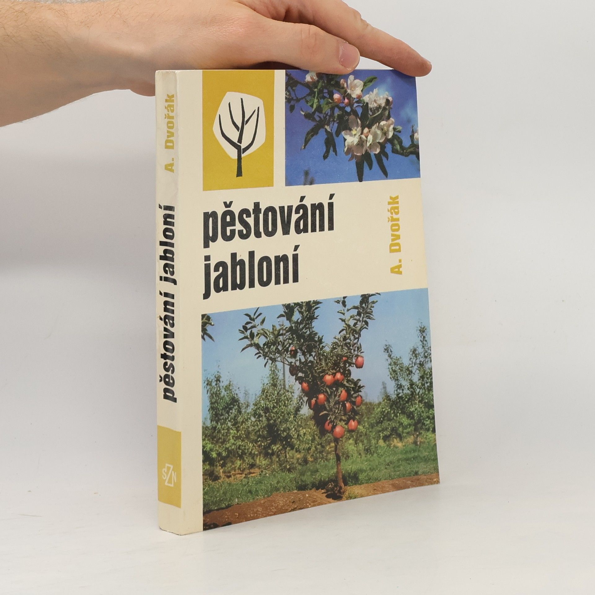 Pěstování jabloní