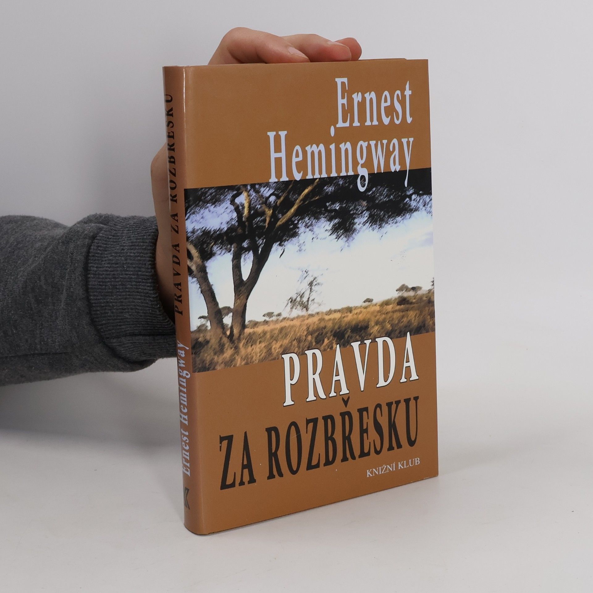 Ernest Hemingway Pravda za rozbřesku