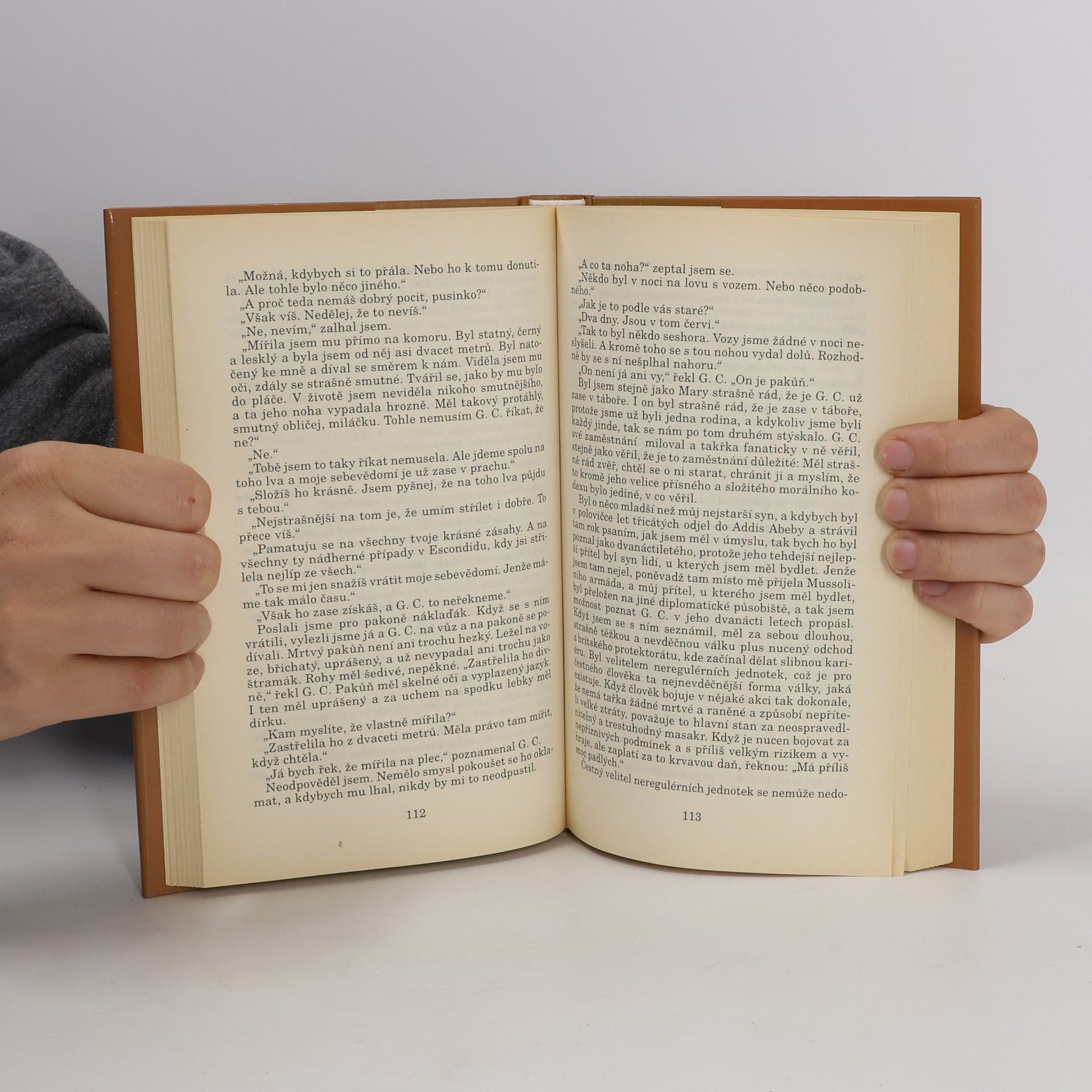 Ernest Hemingway Pravda za rozbřesku